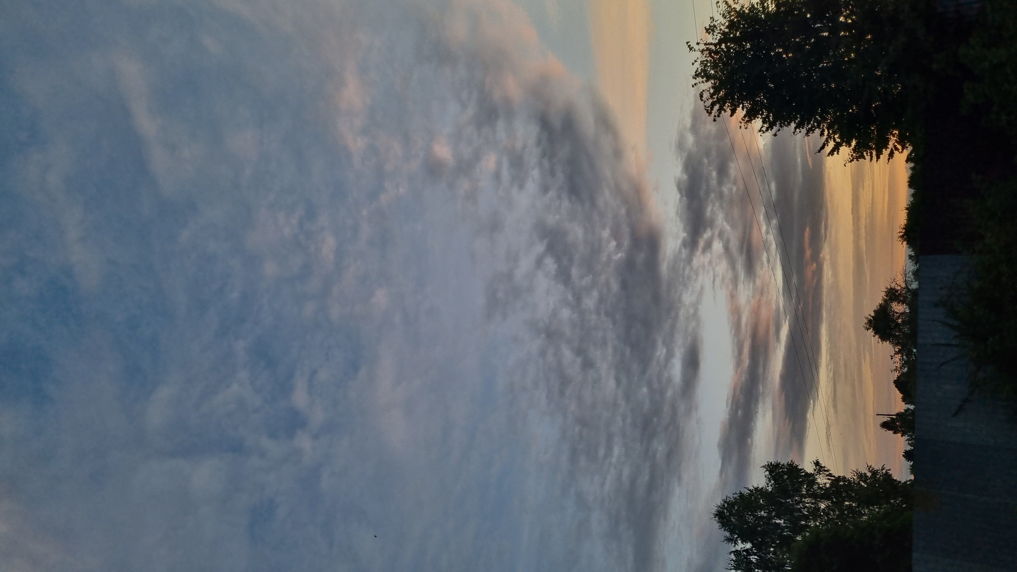 This is a vertical, full-shot photograph of a dusky sky over a silhouetted treeline and fence in Vysokoe, Russia. The sky is a dramatic canvas of clouds, with the upper portion exhibiting a soft blue hue and the lower portion transitioning into warm oranges and yellows from the setting sun. Streaks of light pink and grey paint across the clouds, creating a textured, dynamic scene. In the foreground, a dark, segmented fence runs horizontally across the bottom of the frame. Behind the fence, a dense treeline of various heights obscures the ground. Two prominent trees, one on the far left and another on the far right, are silhouetted against the brighter sky. A few thin power lines are visible horizontally in the upper half of the image, stretching between unseen poles. There are no people or animals clearly visible in the image.