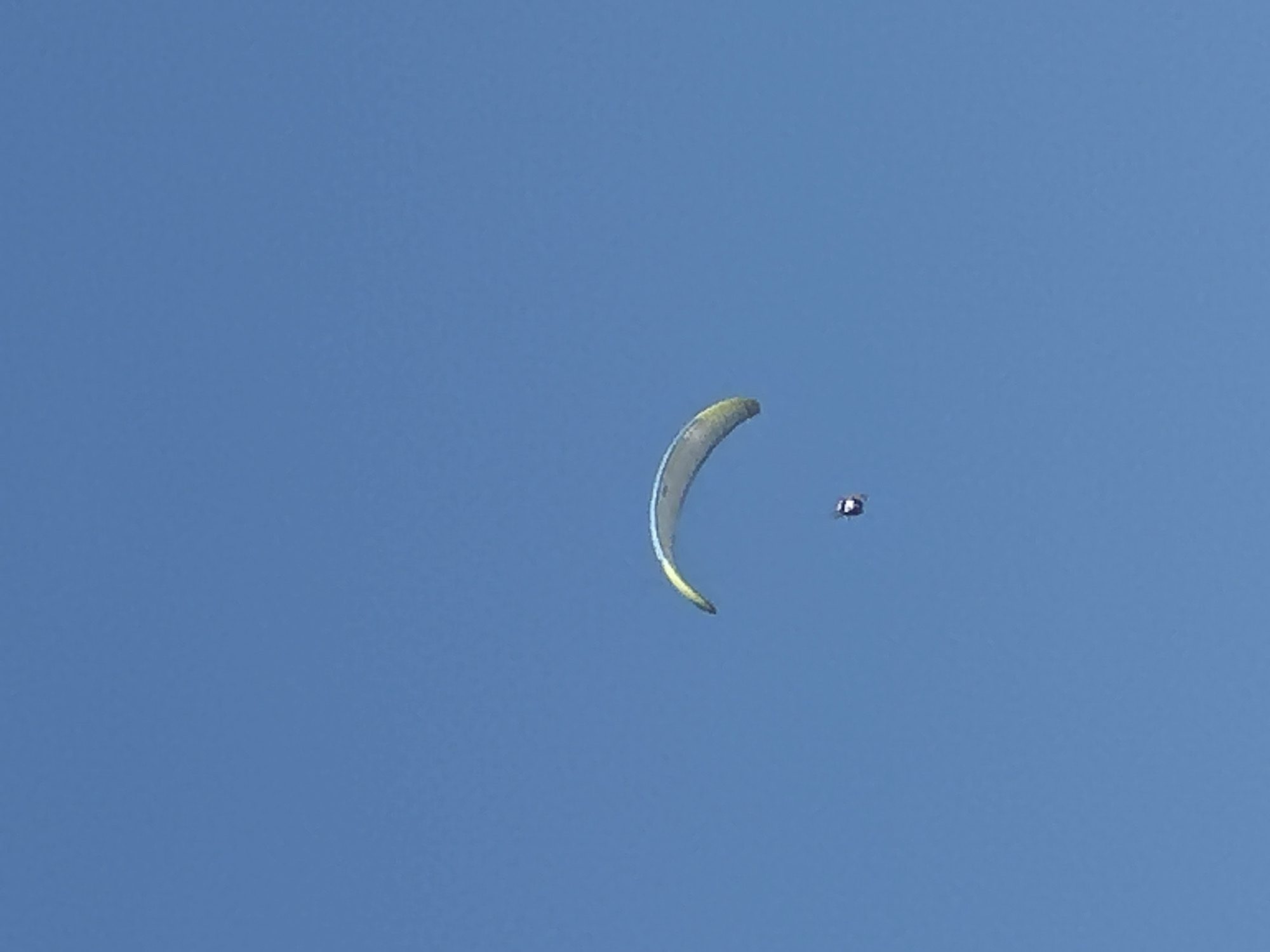 The image shows a paraglider in the sky. The paraglider is a bright yellow and blue wing with a person suspended beneath it. The sky is clear and blue. The paraglider is in the air above a body of water, which is likely the Adriatic Sea, as the city of Bečići, Montenegro is situated on the coast. The scene is peaceful and serene, capturing the freedom of flight.