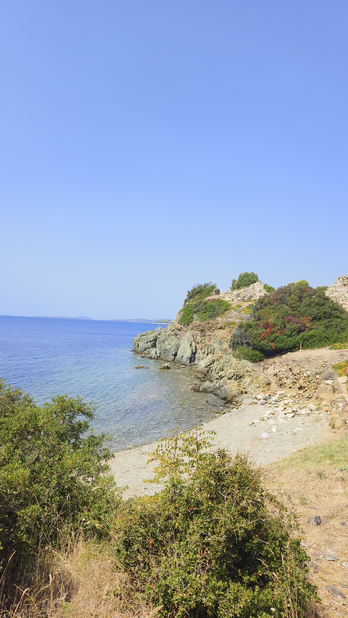 A coastal view captures the clear blue sea meeting a rocky shore with a small, pebble beach. The coastline is characterized by rugged, grey rocks and dense green vegetation, with some patches of reddish foliage. On the clifftop, remnants of stone structures are visible, suggesting historical ruins. The sky is a uniform, bright blue, indicating a sunny day. The foreground features dry grasses and shrubs. This scene is located in the Toroni Municipal Unit, Greece, likely a historical site overlooking the Aegean Sea.