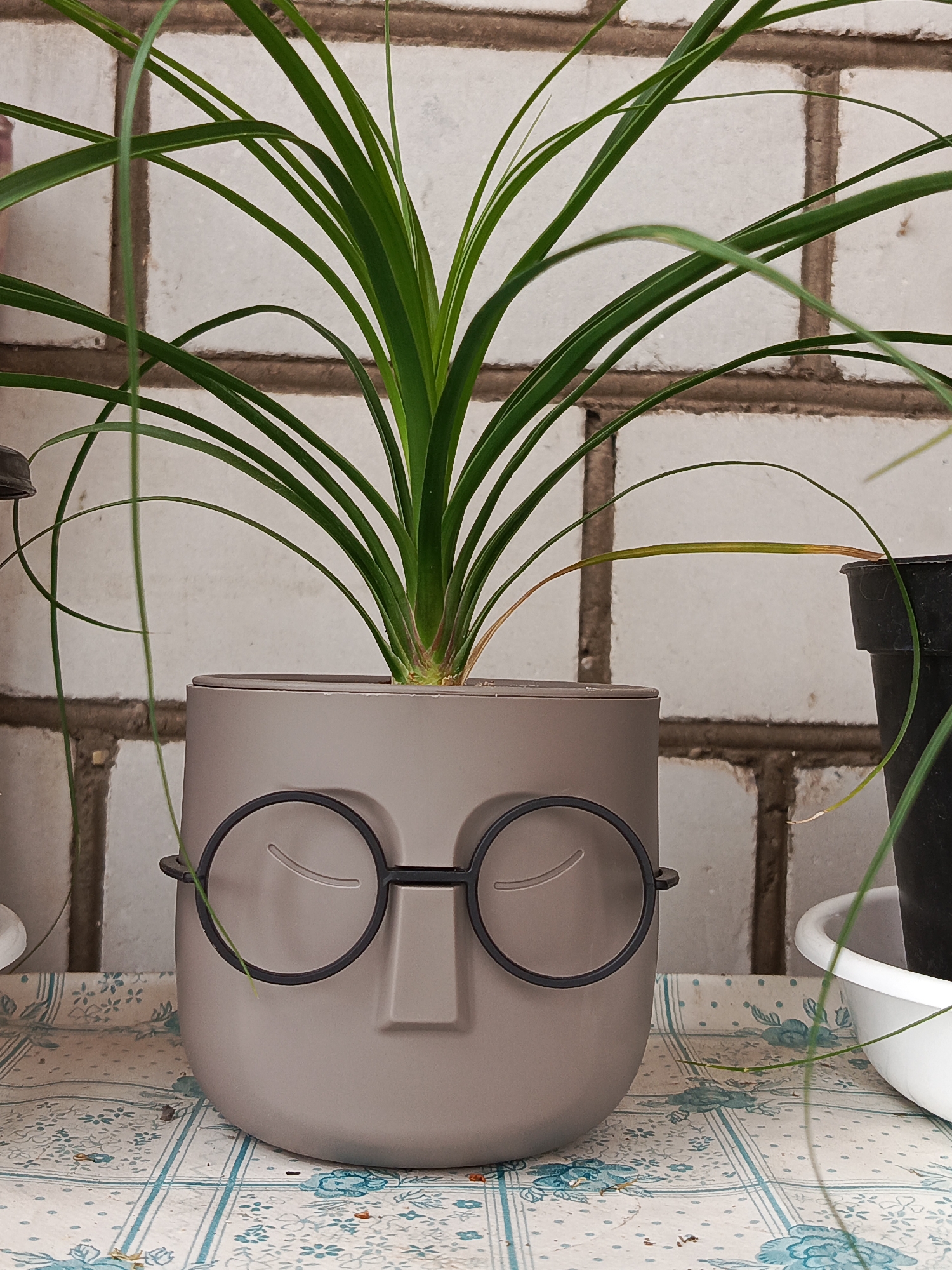 A close-up, eye-level shot shows a decorative gray planter with a face design, holding a green plant with long, thin leaves. The planter has a nose and closed eyes with eyelashes etched onto its surface, and black circular glasses are attached to the sides. The planter sits on a table covered with a blue and white patterned tablecloth. In the background, a white brick wall is visible. To the right of the planter, part of a black pot and a white bowl are also present. The scene appears to be indoors or in a sheltered outdoor space, possibly in Saraktash, Russia, given the contextual information.