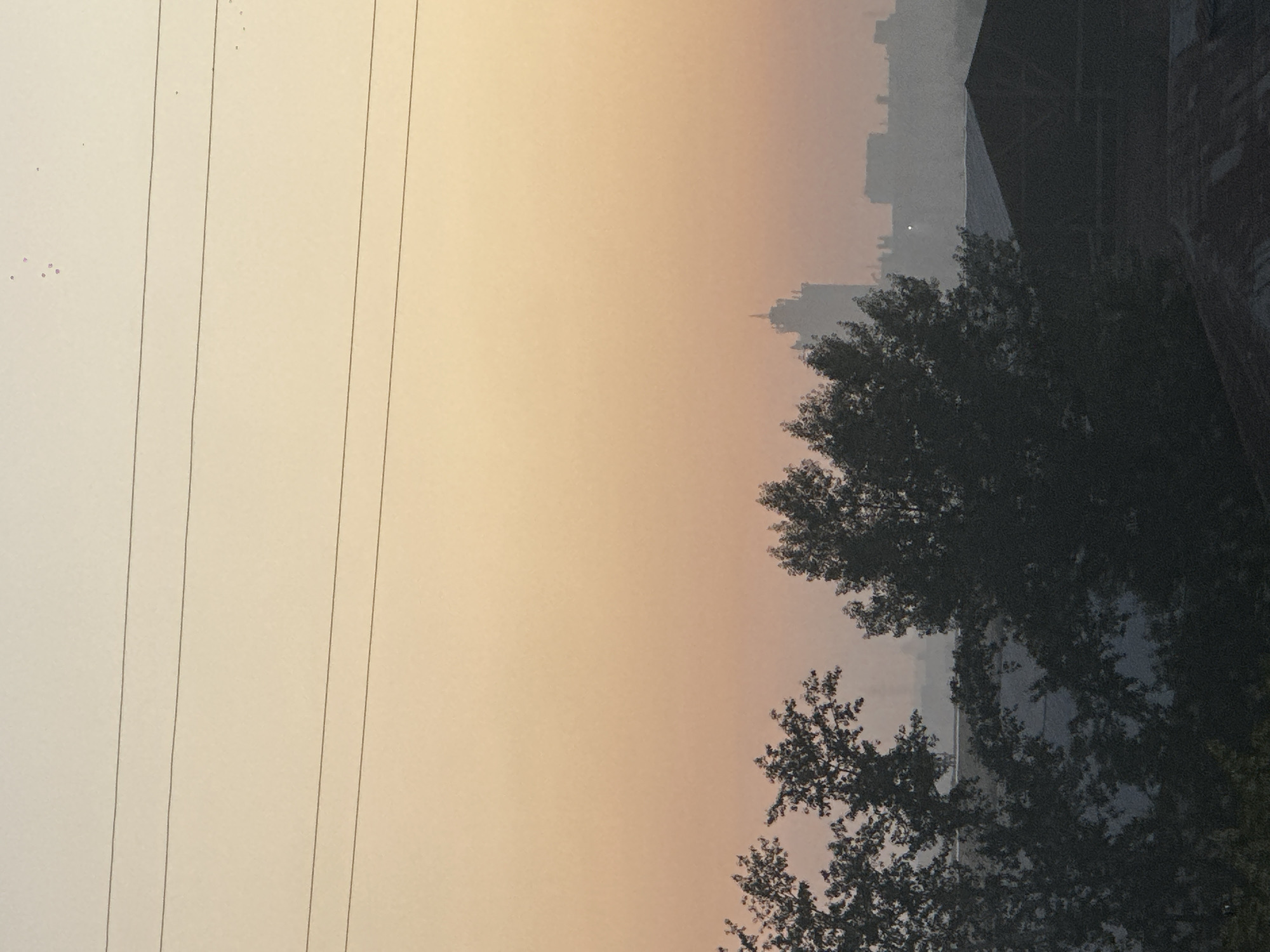 The image depicts a hazy cityscape during what appears to be sunrise or sunset. In the foreground, silhouetted trees with dense foliage partially obscure the view. Beyond the trees, a collection of buildings is visible, including a prominent, tall structure with a distinct spire in the mid-ground. These buildings are softened by atmospheric haze, giving them a muted appearance. Several horizontal power lines stretch across the upper portion of the frame. The sky exhibits a gradient of warm colors, transitioning from a pale yellow at the top to a soft orange-pink towards the horizon. The overall scene suggests an urban environment, likely Biysk, Russia, characterized by its architecture and the prevailing atmospheric conditions.