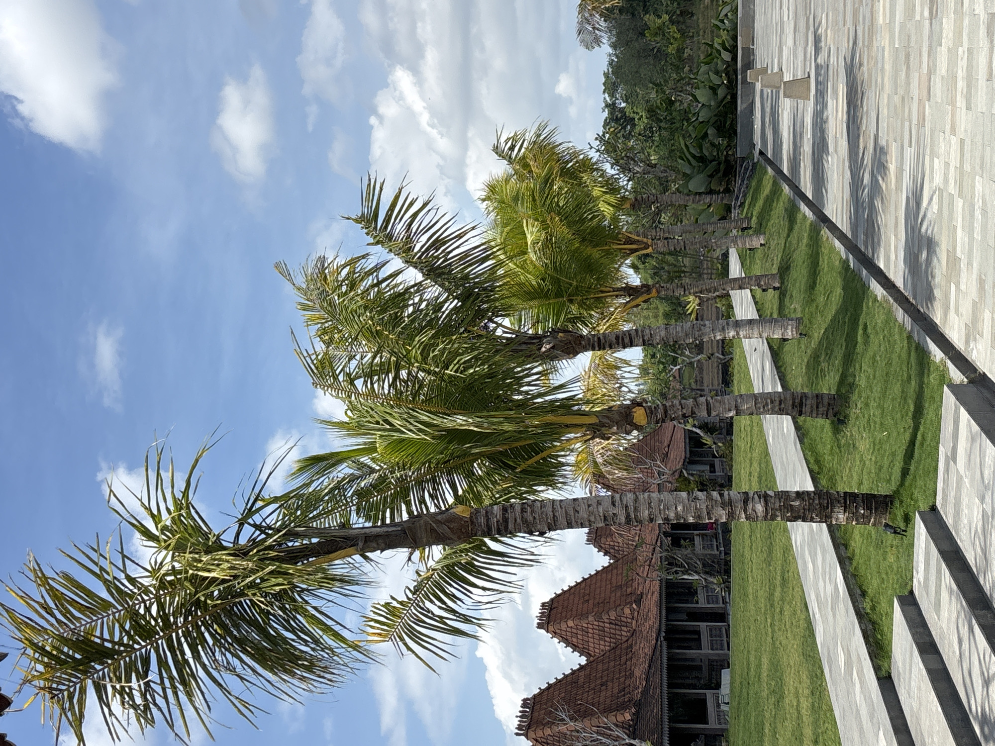 The image presents a landscape view in Kerambitan, Indonesia. In the foreground, several palm trees extend diagonally upwards from left to right. The sky is blue with scattered white clouds. The trees cast shadows on a tiled pathway and adjacent green lawn. A building with a reddish-brown tiled roof is visible behind the trees. Other vegetation is present at the edge of the pathway.