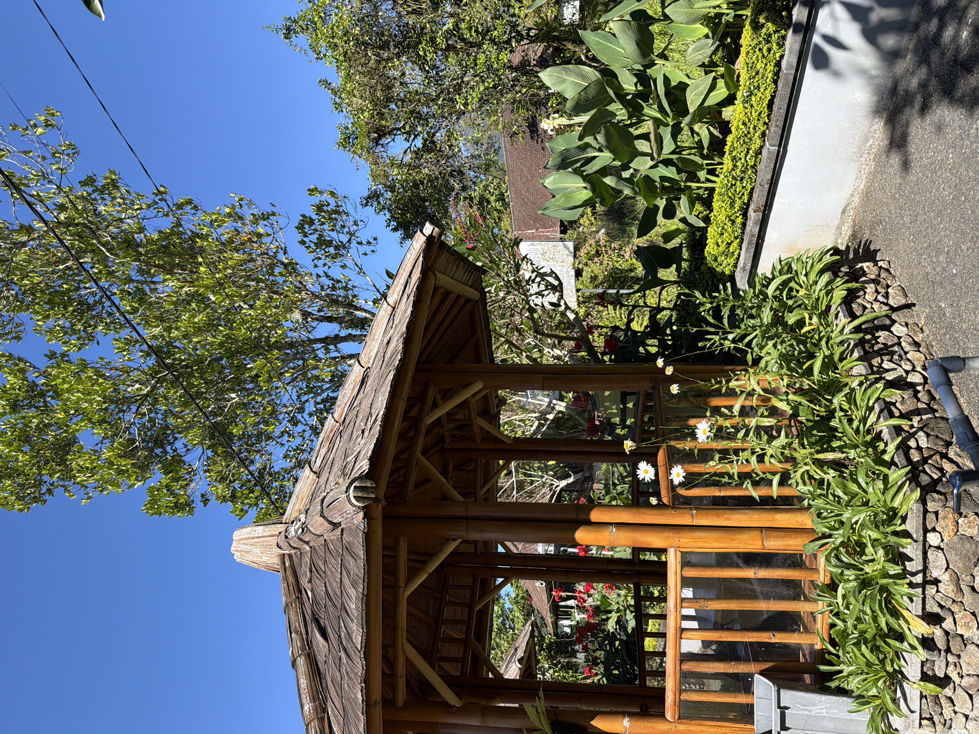 A medium shot captures a vibrant outdoor scene featuring a bamboo gazebo in Baturiti, Indonesia. The gazebo, constructed from natural bamboo poles and featuring a thatched roof, is a prominent focal point. Surrounding the gazebo is lush greenery, including flowering plants with red and white blooms, as well as broad-leafed plants. The ground is paved with asphalt, and a stone-lined planter filled with small green bushes adds to the landscaping. In the background, glimpses of buildings with terracotta roofs can be seen through the foliage, suggesting a residential or resort area. The sky is a clear, bright blue, indicating a sunny day. A grey trash bin is visible to the left of the gazebo, and power lines run through the upper right portion of the frame. The overall impression is one of a tropical, serene environment.