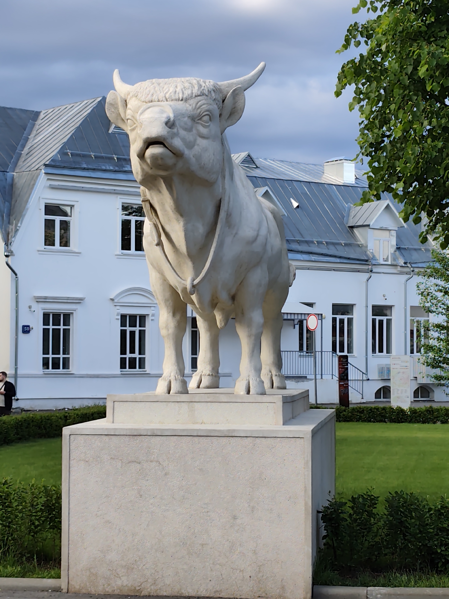 A full shot captures a white sculpture of a bull on a light stone pedestal, standing in front of a white building with a light grey roof. The sculpture is the main subject, featuring a bovine with horns and a rope or chain around its neck. The building in the background has a multi-tiered roof, several windows, and a door. A street number "50" is visible on the building's left side. A "no entry" sign is partially visible behind the sculpture. The foreground consists of green grass and neatly trimmed shrubs. A tree with green leaves frames the scene on the right. A man is standing in the background to the left of the bull's pedestal. The image appears to be taken in Moscow, Russia.