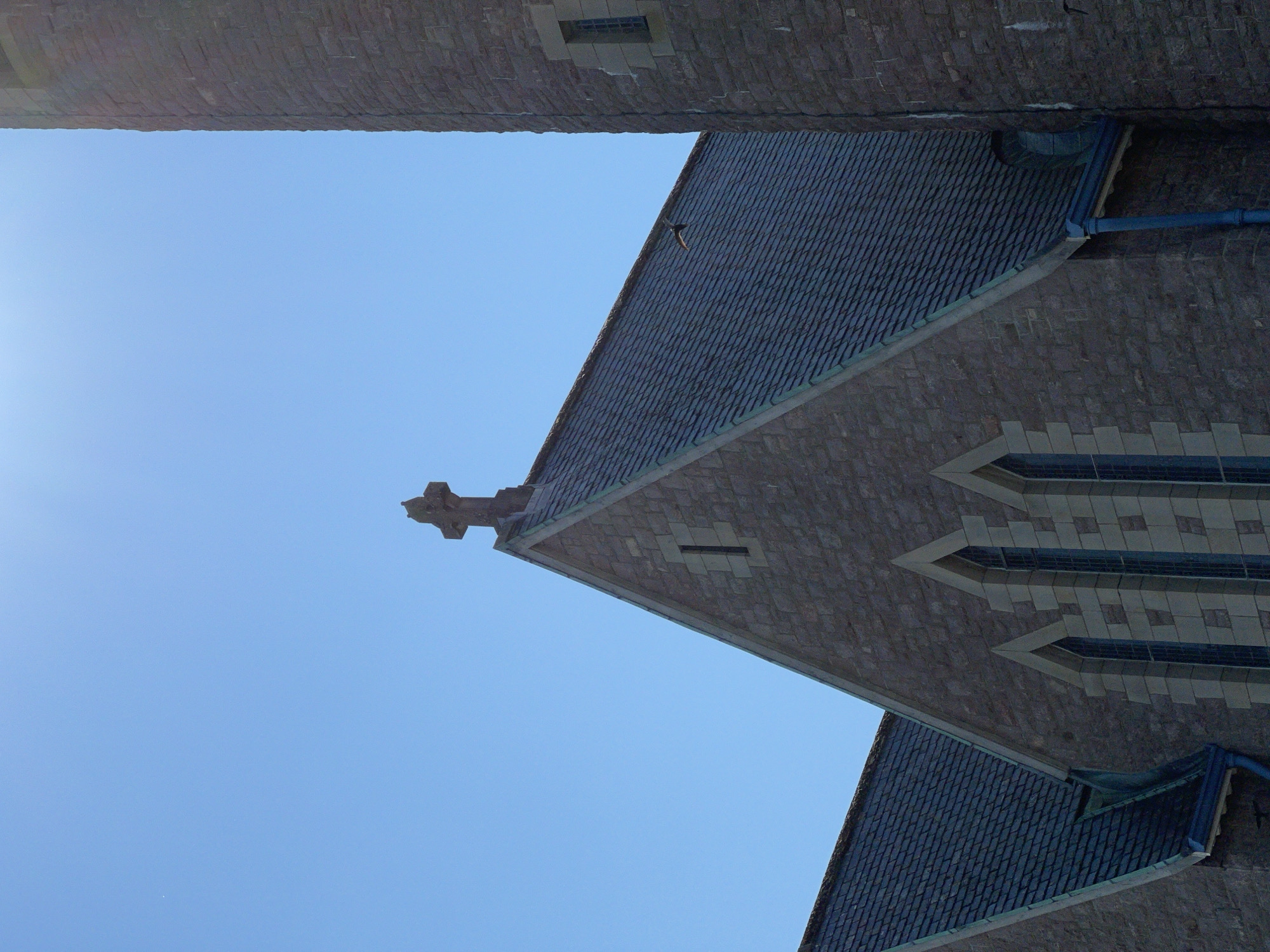 The image shows the roofline of a stone church with a prominent cross atop the main gable. The church features arched windows and dark tiled roofing. Adjacent to the main church building is a round stone tower. The sky is clear and blue, with the sun creating a slight glare at the top of the image. A bird is captured in flight against the sky, positioned above the roof of the church. The scene is likely from the city of Donegal, Ireland, given the architectural style and the presence of the church and tower, which are characteristic of buildings in the region. There are no people visible in the image. The overall impression is a serene view of a historic religious structure under a bright sky.