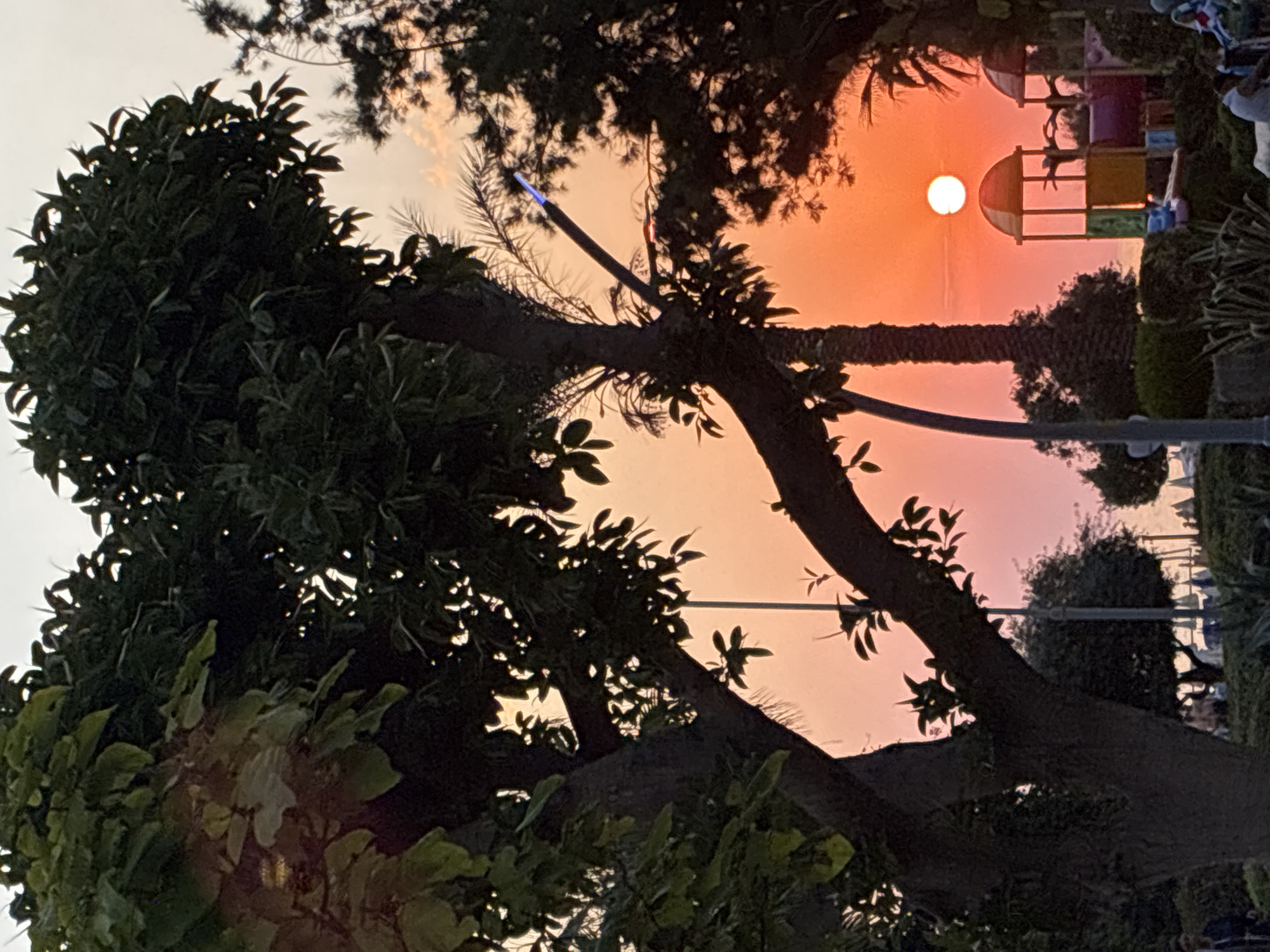 The image captures a sunset over Alanya, Turkey, with a vibrant orange sky. In the foreground, large trees with dark green foliage dominate the left and right sides of the frame, casting shadows and partially obscuring the scene behind them. A palm tree is visible in the center-left, behind the larger trees. To the right, a playground structure with colorful elements like yellow, red, and blue is situated in the mid-ground. The sun, a bright white orb, is low on the horizon, appearing just above the playground. Hints of human figures can be observed in the lower portion of the image, suggesting people are present in the park or on the beach. The overall environment appears to be a park or recreational area near the coast, with the sea likely being just beyond the visible horizon.