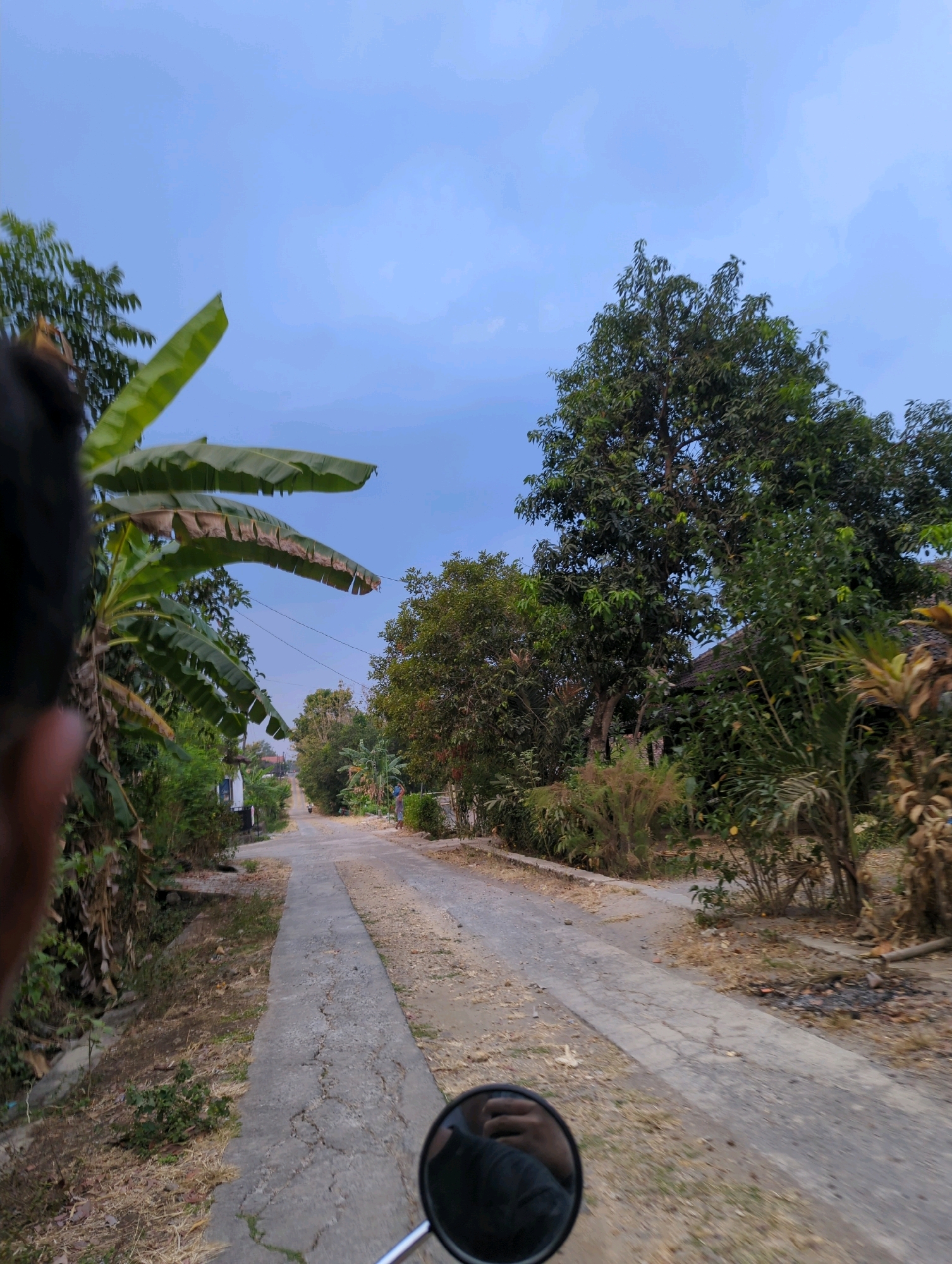 The image depicts a road in Senggrong, Indonesia, likely taken from the perspective of someone riding a motorcycle. The road is paved with concrete and is somewhat cracked and weathered. It appears to be a rural or semi-rural area, with lush green vegetation lining both sides of the road. Large banana leaves are prominent on the left side of the frame, with other trees and shrubs filling the background. A house with a tiled roof is visible amongst the trees on the right. The sky is a pale blue, suggesting it might be late afternoon or early morning. In the foreground, a motorcycle's side mirror is visible, reflecting a hand and part of an arm. Further down the road, a distant figure can be seen, possibly a person standing by the side of the road, and another figure appears to be on a motorcycle in the distance. The overall impression is a peaceful, natural setting on a road in Indonesia.