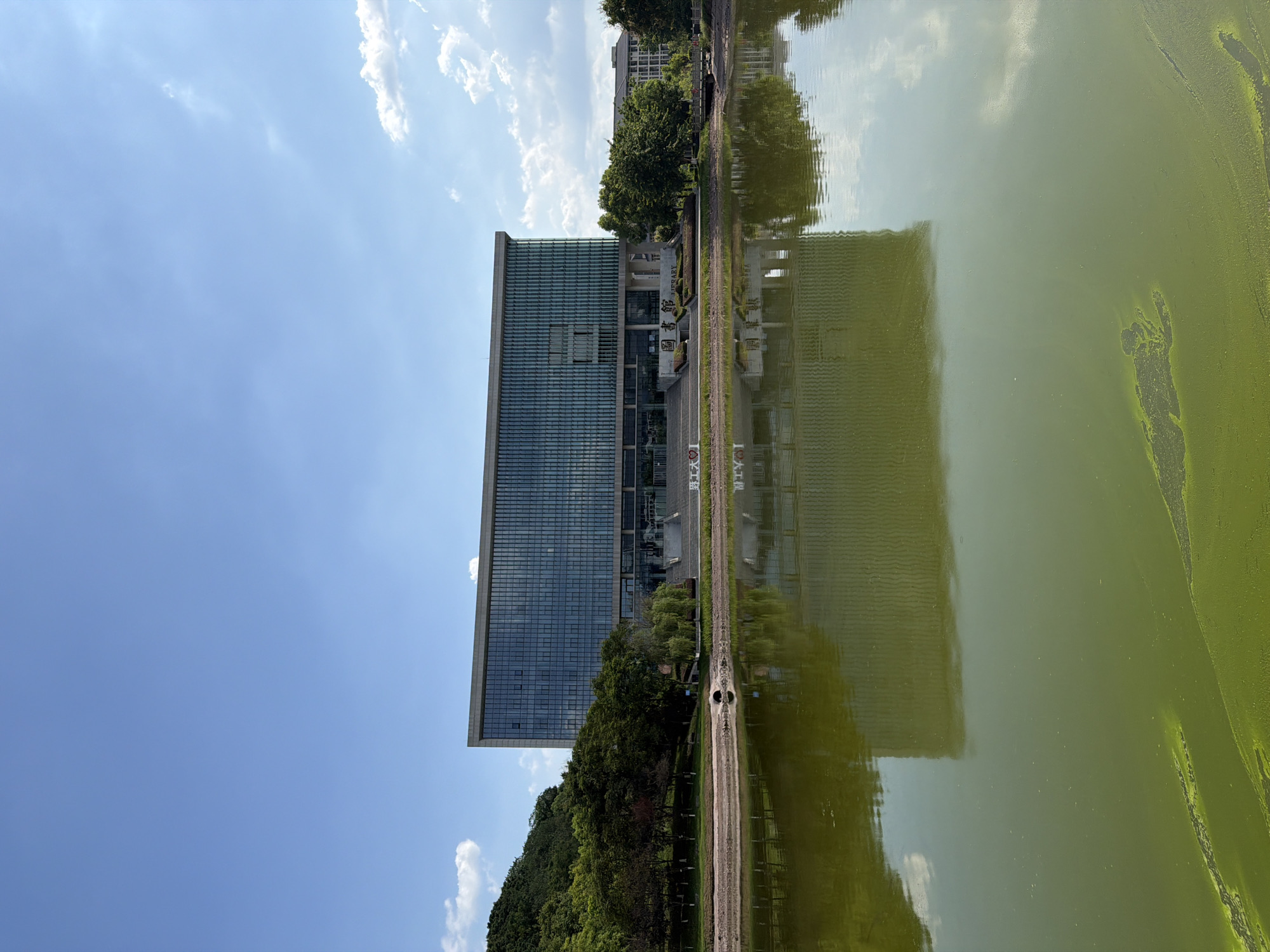 The image shows a large, modern building with a glass facade, possibly a library, situated beside a body of water in Jiangjin, China. The building is reflected in the murky green water, which is covered in algae. Trees and hills are visible in the background, under a clear blue sky with scattered clouds. The building appears to have steps leading to its entrance, and signage in Chinese characters is visible above the entrance. The scene suggests a campus or public space.