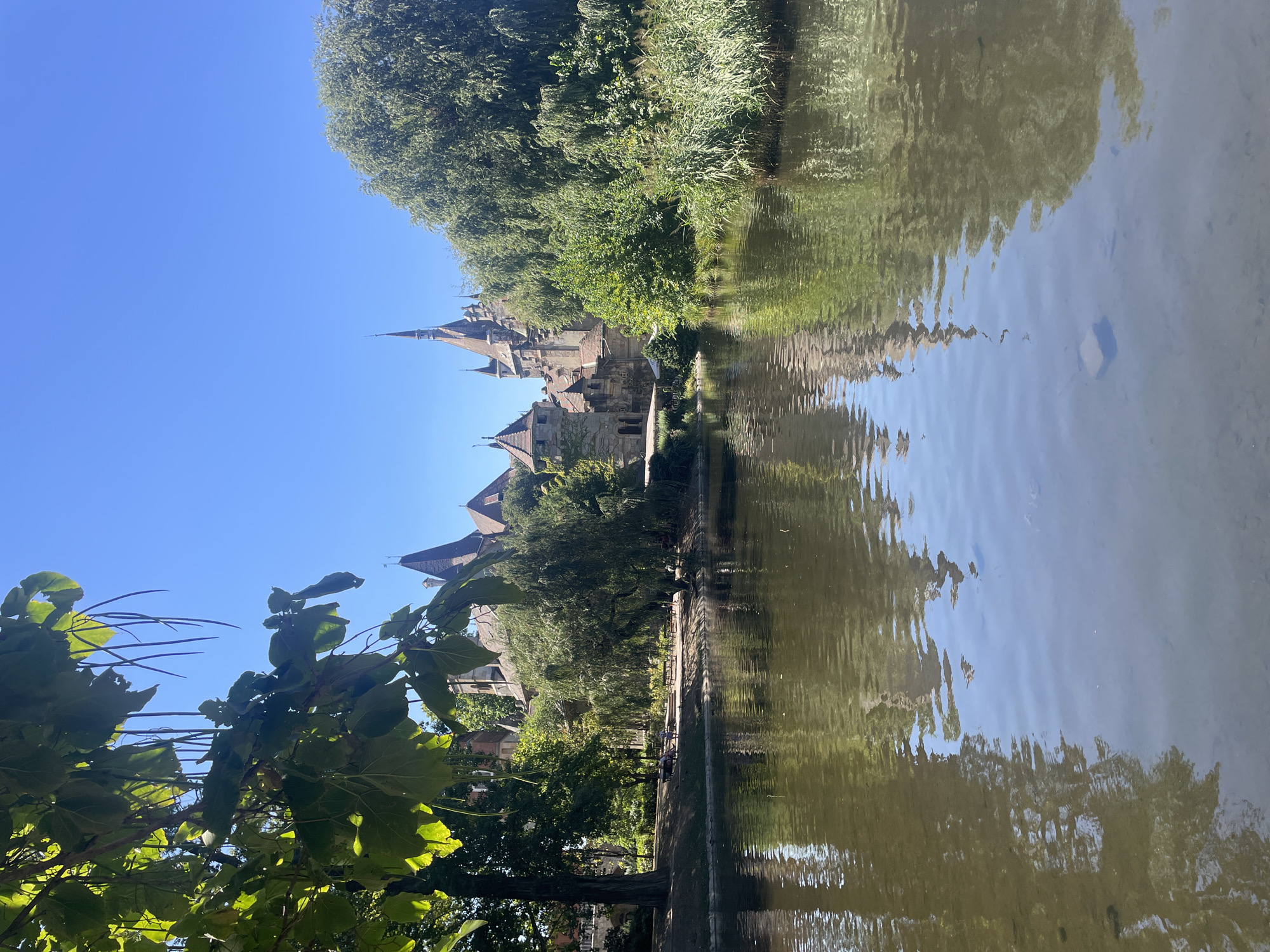 This image depicts Vajdahunyad Castle in Budapest, Hungary, on a clear, sunny day. The castle, a complex architectural structure with towers and spires, is situated behind a body of water. The water in the foreground reflects the trees and the castle. Lush green trees and foliage surround the castle and line the edge of the water. In the middle ground, there is a park area with benches and a few people are seated, enjoying the scenery. The sky is a vibrant blue, free of clouds.