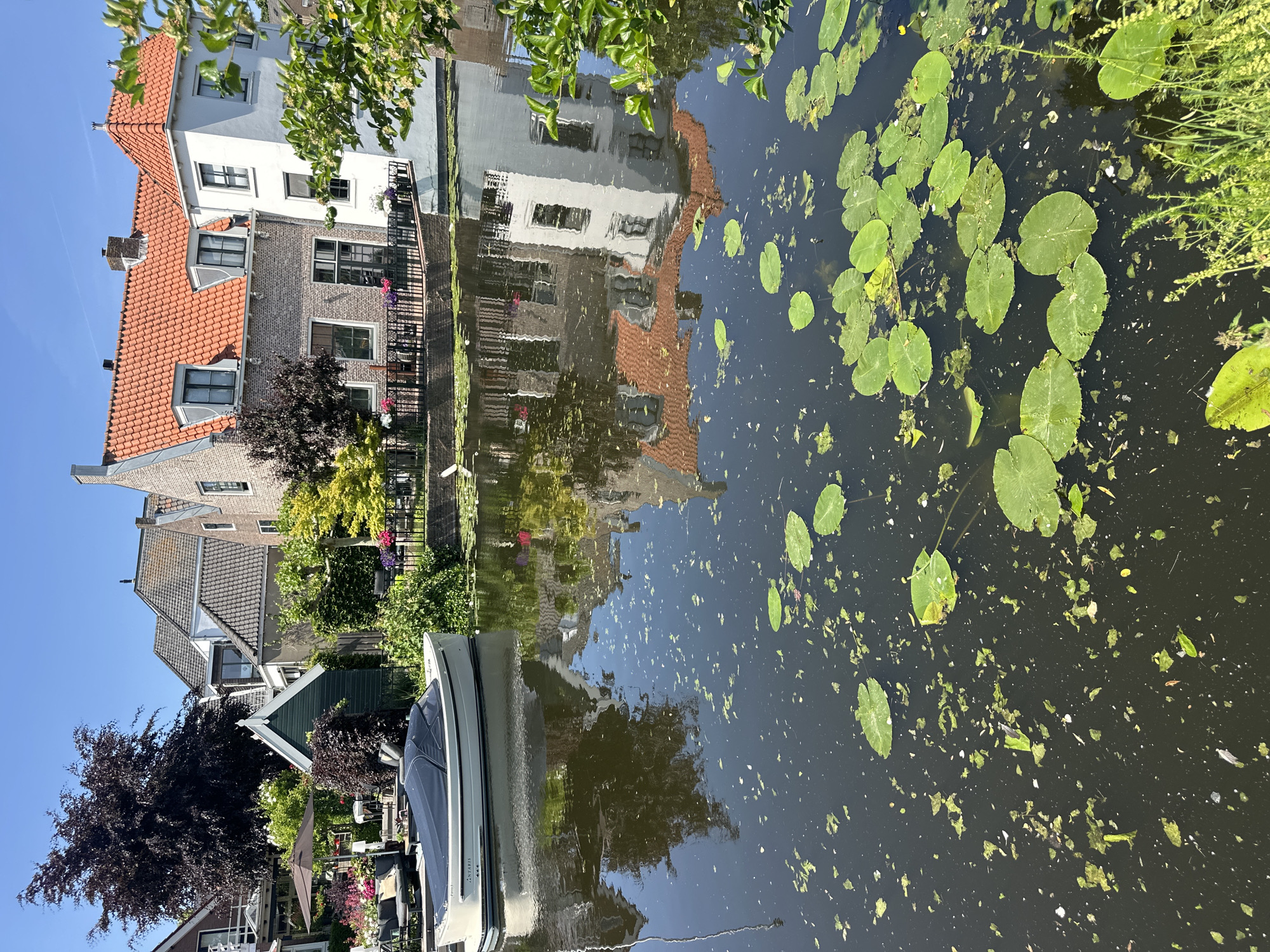 The image shows a canal in Katwijk, Netherlands. On the left bank are houses with brick and white walls and red-tiled roofs. A boat is docked on the left, covered with a blue tarp. The canal water is dark and reflective, mirroring the houses and sky. Lily pads float on the surface, along with small pieces of debris. Vegetation lines the canal banks. The sky is clear and blue.