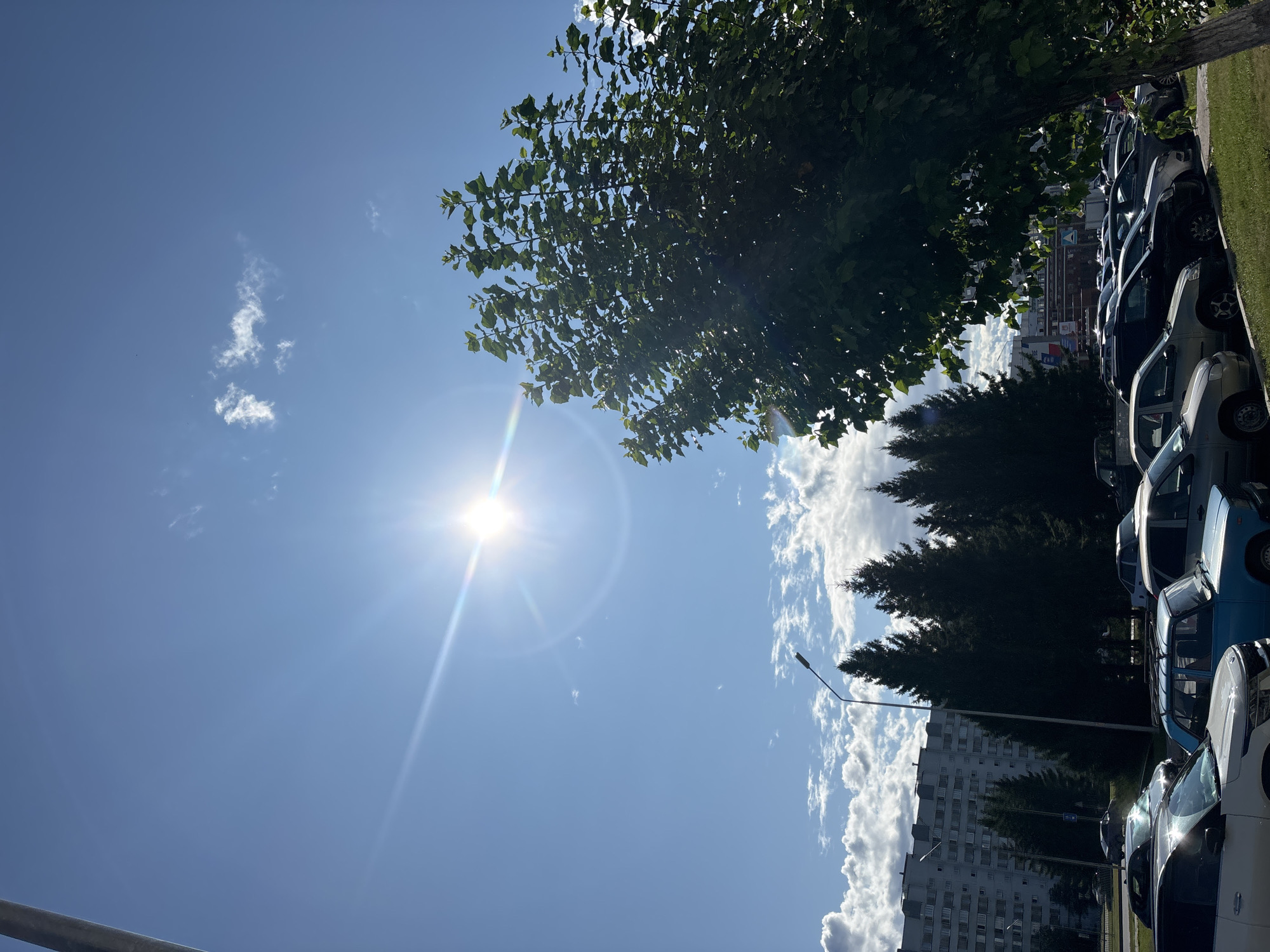 The image depicts a sunny daytime scene in Naberezhnye Chelny, Russia, likely in a residential area. The foreground is dominated by the sun, which is high in a clear blue sky with a few scattered clouds and lens flare. A large, leafy green tree is positioned on the right side of the frame, its branches extending into the upper right corner. In the mid-ground, a row of parked cars is visible on a paved lot. Among these vehicles, a light blue older model car with a roof rack is particularly noticeable. Behind the cars, a line of dark green coniferous trees stands, interspersed with a tall street lamp. Further in the background, a multi-story apartment building with numerous windows can be seen, suggesting an urban or suburban setting. The overall impression is one of a typical day in a Russian city, with residential architecture, parked vehicles, and natural elements like trees and sky.