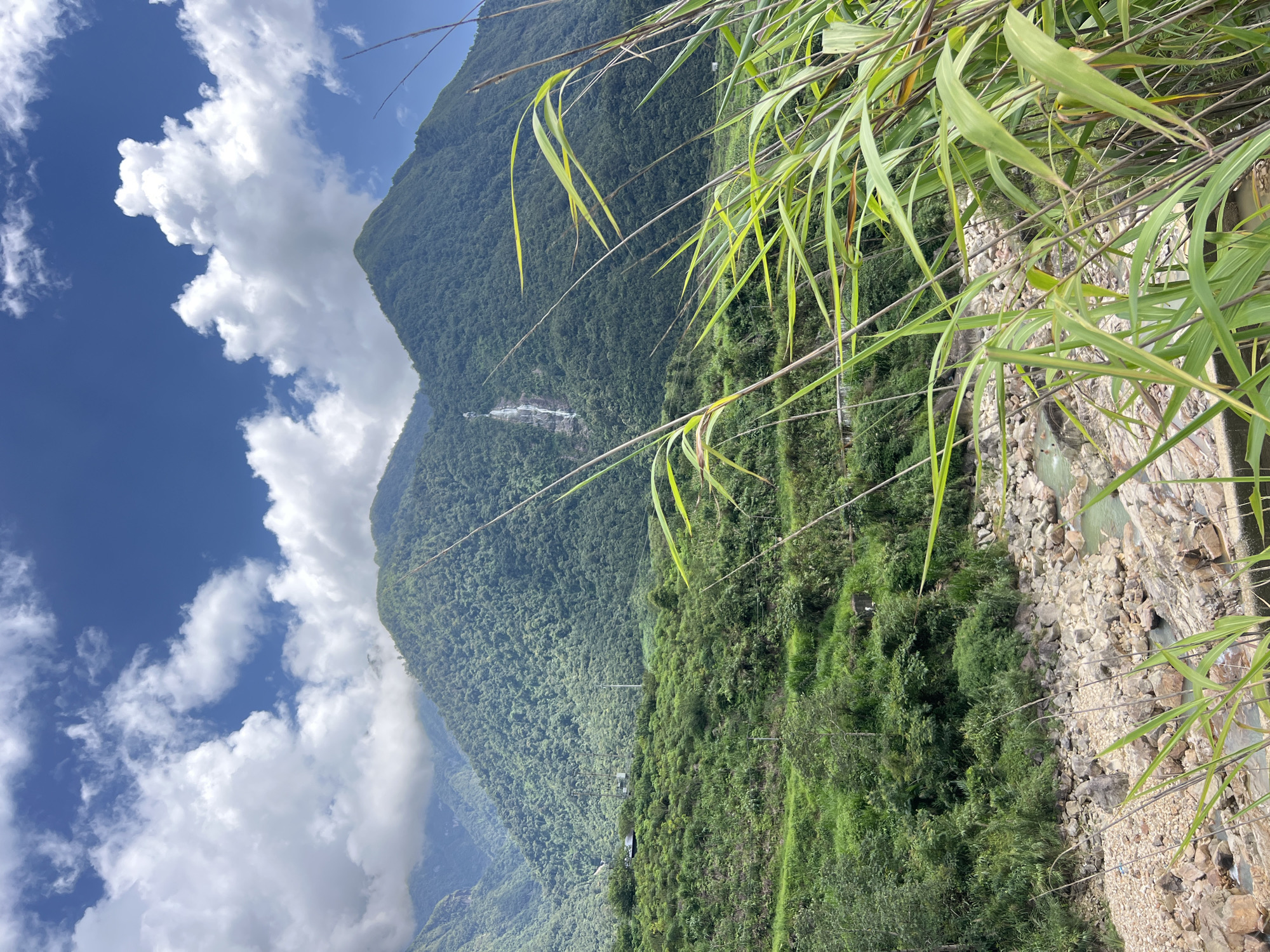 The image captures a scenic view of a mountainous landscape in Bình Lư, Vietnam. In the foreground, tall, green reeds or grasses are swaying, partially obscuring the view. Beyond the reeds, a rocky riverbed is visible, with a shallow, greenish river flowing through it. The riverbanks are covered in a mix of rocks and vegetation.
The middle ground of the image features a lush, green hillside dotted with trees and shrubs. Terraced farming or landscaping is evident on the slopes. A few man-made structures, possibly buildings or communication towers, are visible on the hillside.
In the background, imposing, densely forested mountains dominate the scene. A thin waterfall cascades down the side of one of the mountains, appearing as a white streak against the green foliage. The sky above is a vibrant blue, punctuated by scattered, fluffy white clouds. The overall impression is one of natural beauty and a rural, mountainous environment.