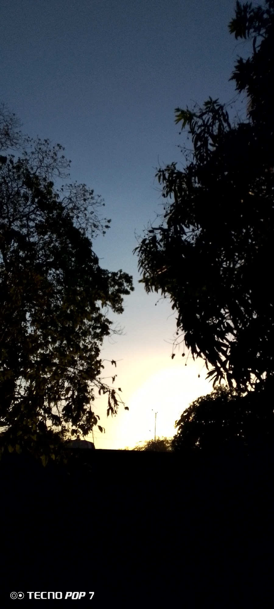 The image depicts a sunset scene in Altagracia, Venezuela. Silhouetted trees frame the view of the sky, which transitions from a dark blue at the top to a bright yellow-orange near the horizon. The foreground is dark, obscuring details, though a building and vegetation are subtly visible. A street light is also visible through the trees. The image was taken with a Tecno Pop 7 mobile phone.