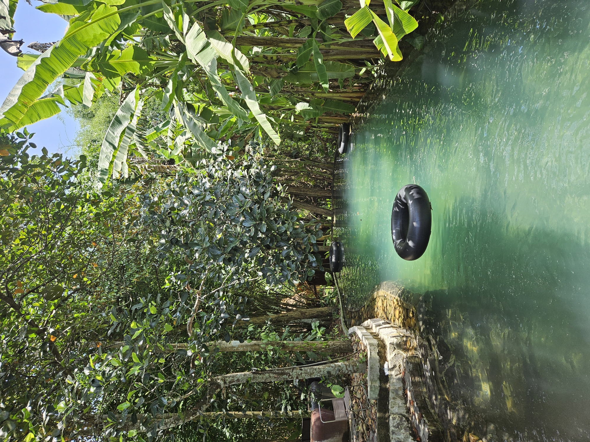This is a photograph of a natural swimming pool with clear, turquoise water surrounded by lush green vegetation. The pool is bordered by stone steps on the left and dense foliage, including large banana leaves, on the right. A black inflatable tube floats in the center of the pool. In the background, more trees and vegetation are visible, suggesting a natural or semi-natural environment. This scene is located at the Kiet Garden Pool, a tranquil spot nestled in the Son Tra Peninsula of Da Nang, Vietnam, offering a natural escape from the city. The image captures a serene and inviting atmosphere.