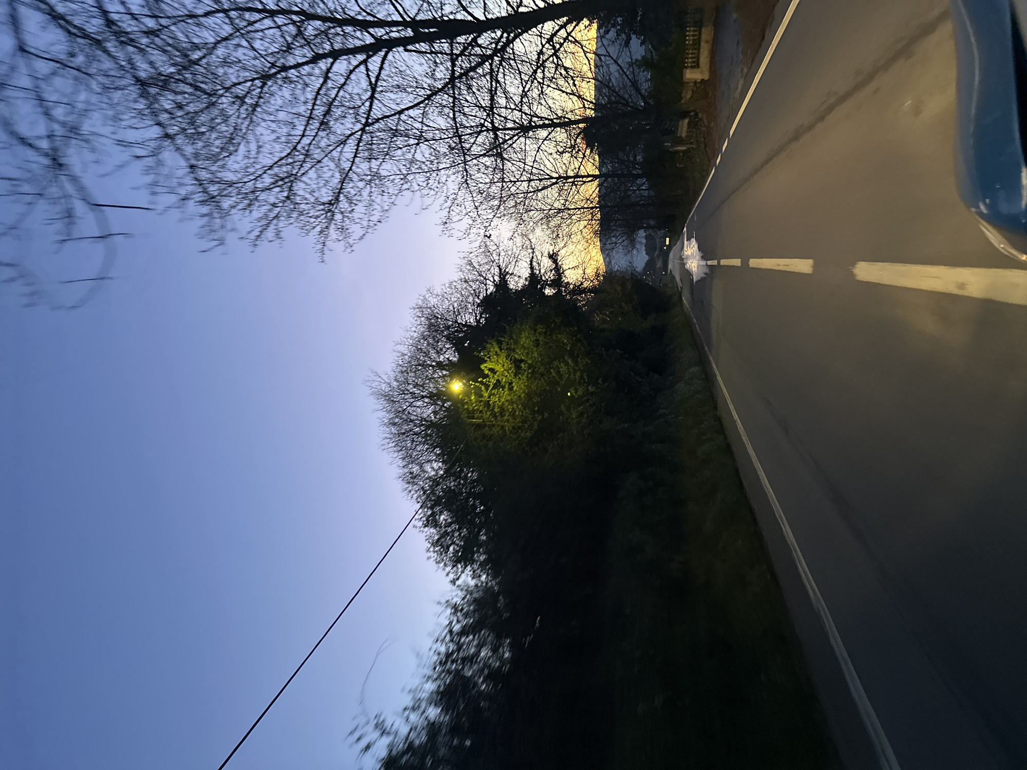 This image displays a two-lane asphalt road in Vila Real, Portugal, under low light conditions consistent with dawn or dusk, where the sky transitions from deep blue overhead to a yellow-orange horizon. The perspective is from inside a vehicle, with a dark blue or teal dashboard or hood partially visible in the lower right foreground. The road features a white dashed center line and solid white shoulder lines. Several wet patches are visible on the road surface, including a prominent, bright, irregular wet area in the middle of the right lane in the mid-distance.
Dense, dark green foliage and trees line the left side of the road, with a bright yellow streetlamp actively illuminating a section of the greenery. A single dark power line extends diagonally across the upper left portion of the sky. On the right side of the road, numerous bare deciduous trees, devoid of leaves, stand silhouetted against the brighter horizon. A low, light-colored stone wall or fence is visible on the right shoulder further down the road. Distant hills are faintly discernible against the horizon. No individuals, animals, or other vehicles are present in the scene.