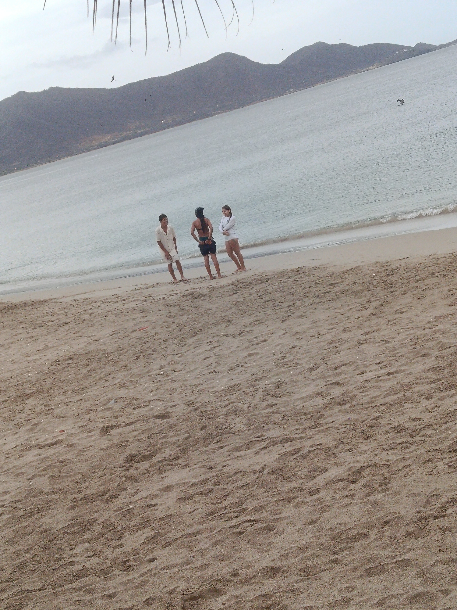 Three individuals are standing on a sandy beach in Juan Griego, Venezuela, with the ocean and a mountain range in the background. The person on the left is a male wearing a light-colored shirt and shorts, facing towards the right. The middle person is a female with dark hair, wearing a dark-colored swimsuit. The person on the right is a female wearing a white top and shorts, facing towards the left. The ocean is calm with gentle waves reaching the shore. The sky is overcast, and a few birds are visible in the sky and near the water. The beach is sandy with ripples and some debris. Palm fronds are partially visible in the upper left corner of the image.