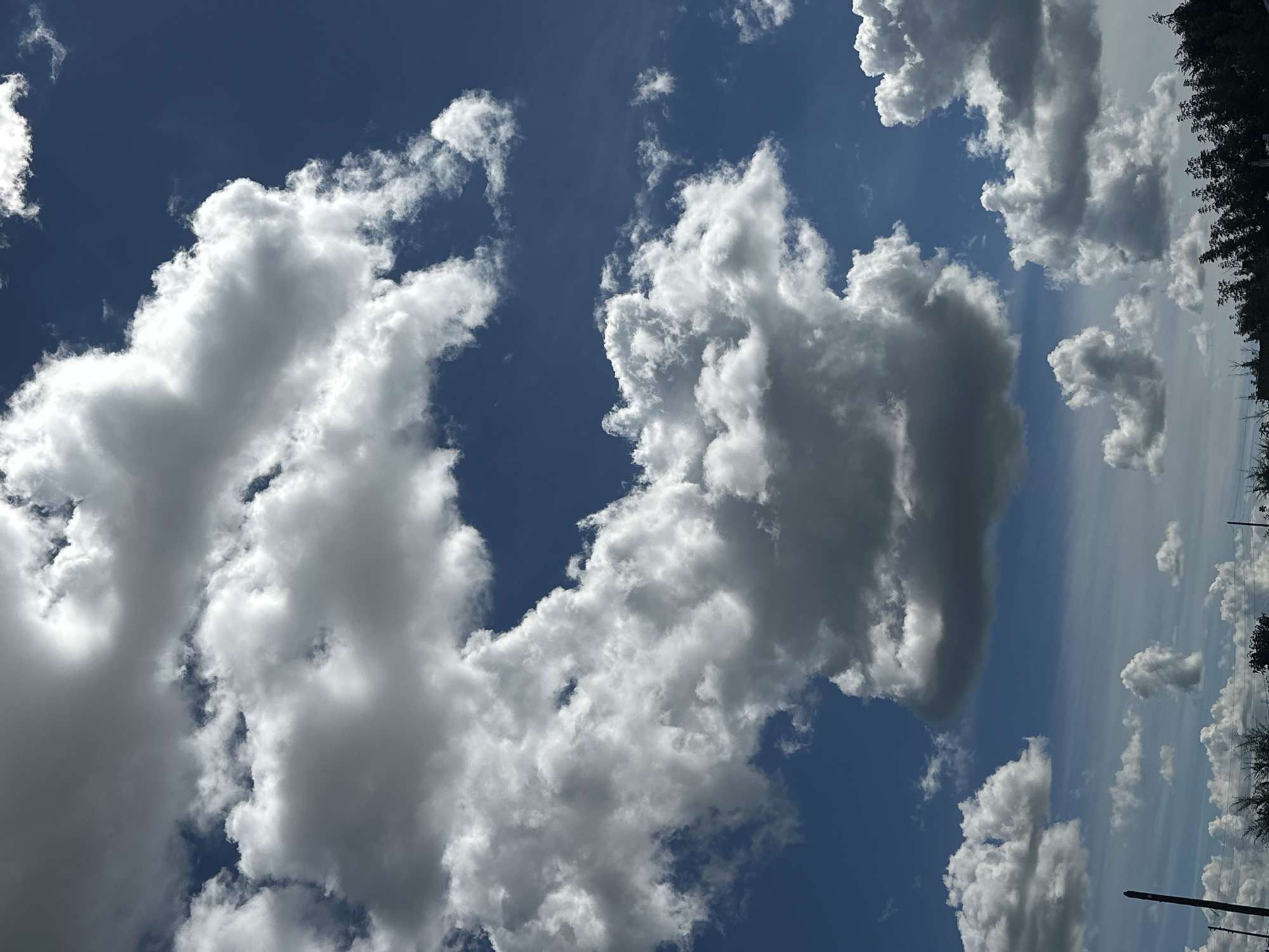The image captures a dynamic sky with a mix of bright white and dark gray cumulus clouds against a deep blue sky. The clouds are voluminous and appear to be in motion, with sunlight illuminating their upper surfaces and casting shadows below. In the lower portion of the image, a dark silhouette of trees and vegetation is visible, suggesting a terrestrial landscape. Additionally, there are hints of utility poles and wires, indicating the presence of human infrastructure. The overall scene evokes a sense of natural beauty and atmospheric activity. The location is in the city of Tobyl, Kazakhstan.
