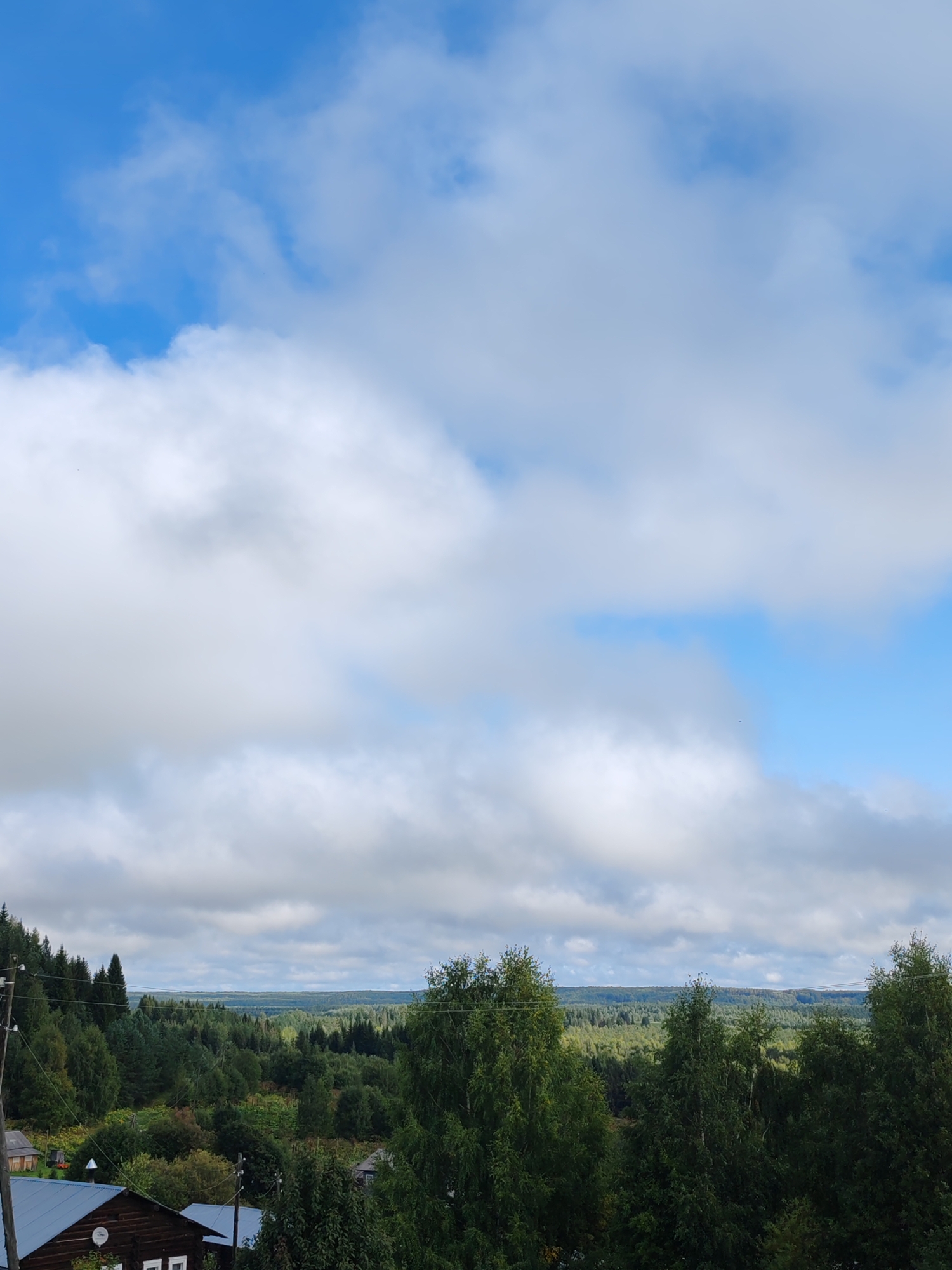 The image depicts a rural landscape with a dense forest in the background under a cloudy sky. In the foreground, there are several wooden houses and power lines. One house in the lower left corner has a blue metal roof and a satellite dish. The overall scene suggests a natural, somewhat remote setting. The image was taken in Chukhlem, Russia, as indicated by the provided context. There are no people or animals visible in the frame. The environment is characterized by trees, vegetation, and man-made structures typical of a village.