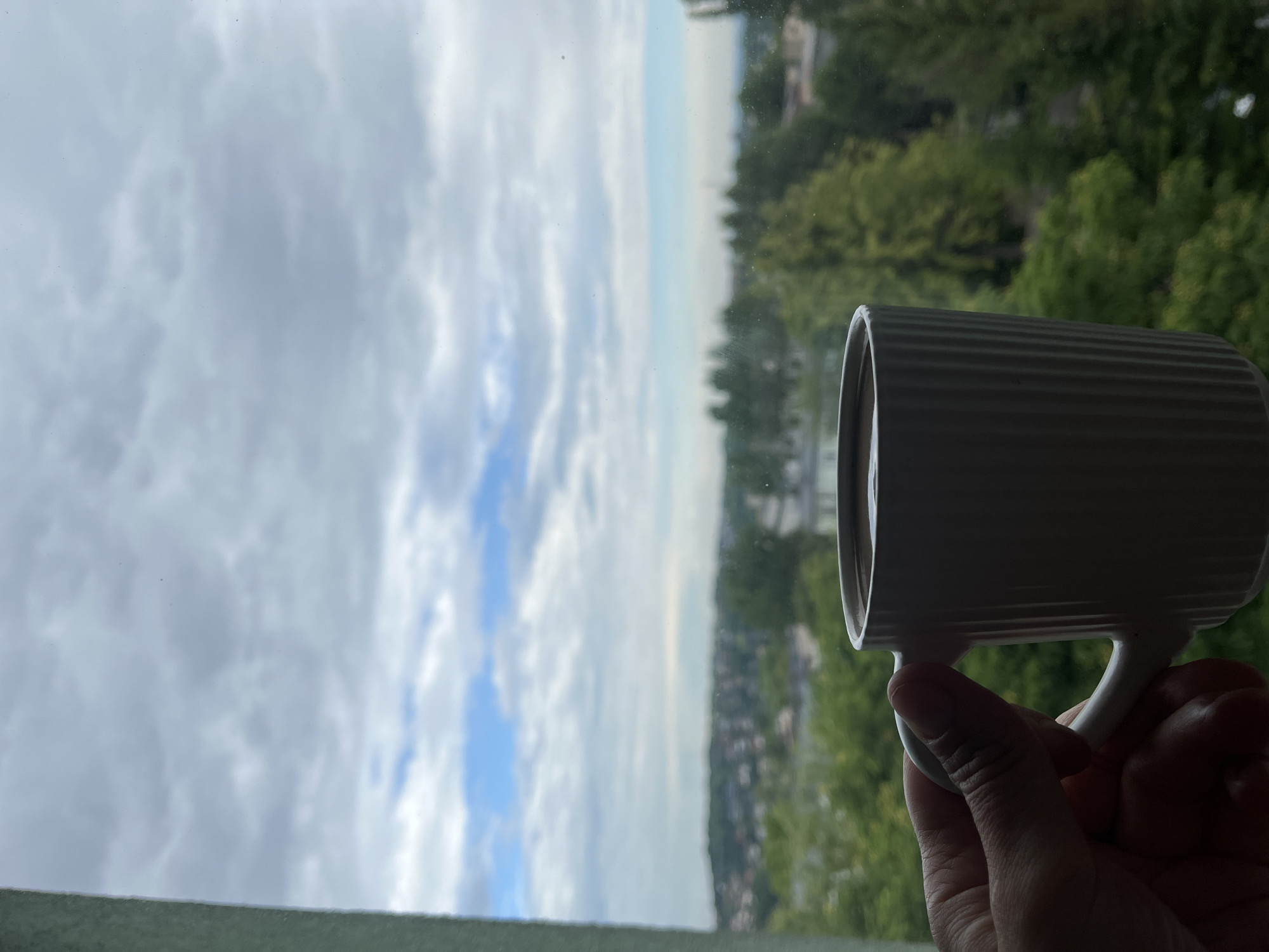 An elevated, eye-level shot captures a right hand, partially silhouetted, holding a white ceramic mug with vertical ridges by its handle, positioned in the foreground against an expansive, out-of-focus outdoor scene. The mug contains a dark liquid, likely coffee or tea. The hand and mug are situated near the left side of a window, with a slender, vertical grey-green window frame element visible along the far left edge of the image.
Through the window, the background reveals a vast, hazy landscape under a cloudy sky. The sky is predominantly overcast with grey and white clouds, but patches of blue are discernible, particularly towards the lower left horizon. Below the sky, a verdant expanse of numerous green trees dominates the middle ground, suggesting a forested area or large park. Beyond the trees, a sprawling cityscape is visible, with numerous residential and urban structures spread across undulating terrain to the left, and a flatter urban area extending to the right horizon. The overall lighting is soft and diffused, indicative of an overcast day. Specks and minor imperfections are visible on the windowpane, subtly obscuring the distant view. The scene is located in the city of Unknown, Unknown.