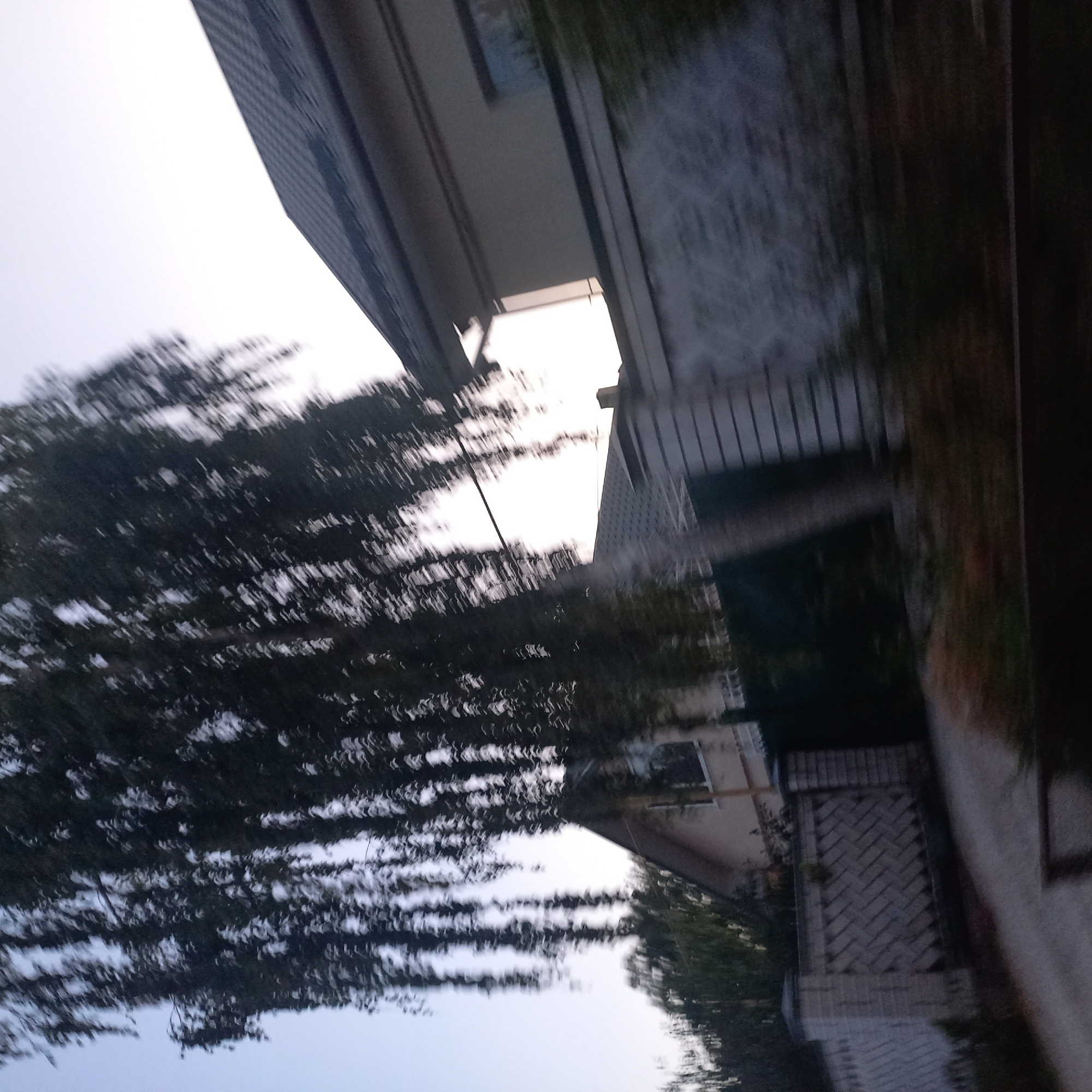 The image depicts a street scene in the city of Klyntsi, Ukraine, characterized by motion blur. A large tree with drooping branches dominates the left side of the frame, its foliage heavily blurred due to movement. To the right, a section of a building with a dark, sloped roof is visible. Adjacent to the building is a patterned fence constructed from light-colored blocks. A paved road or driveway runs through the foreground, also showing signs of motion blur. The sky is overcast and light. No people or distinct actions are identifiable due to the blur. The overall impression is of a quick, passing view of a residential area.