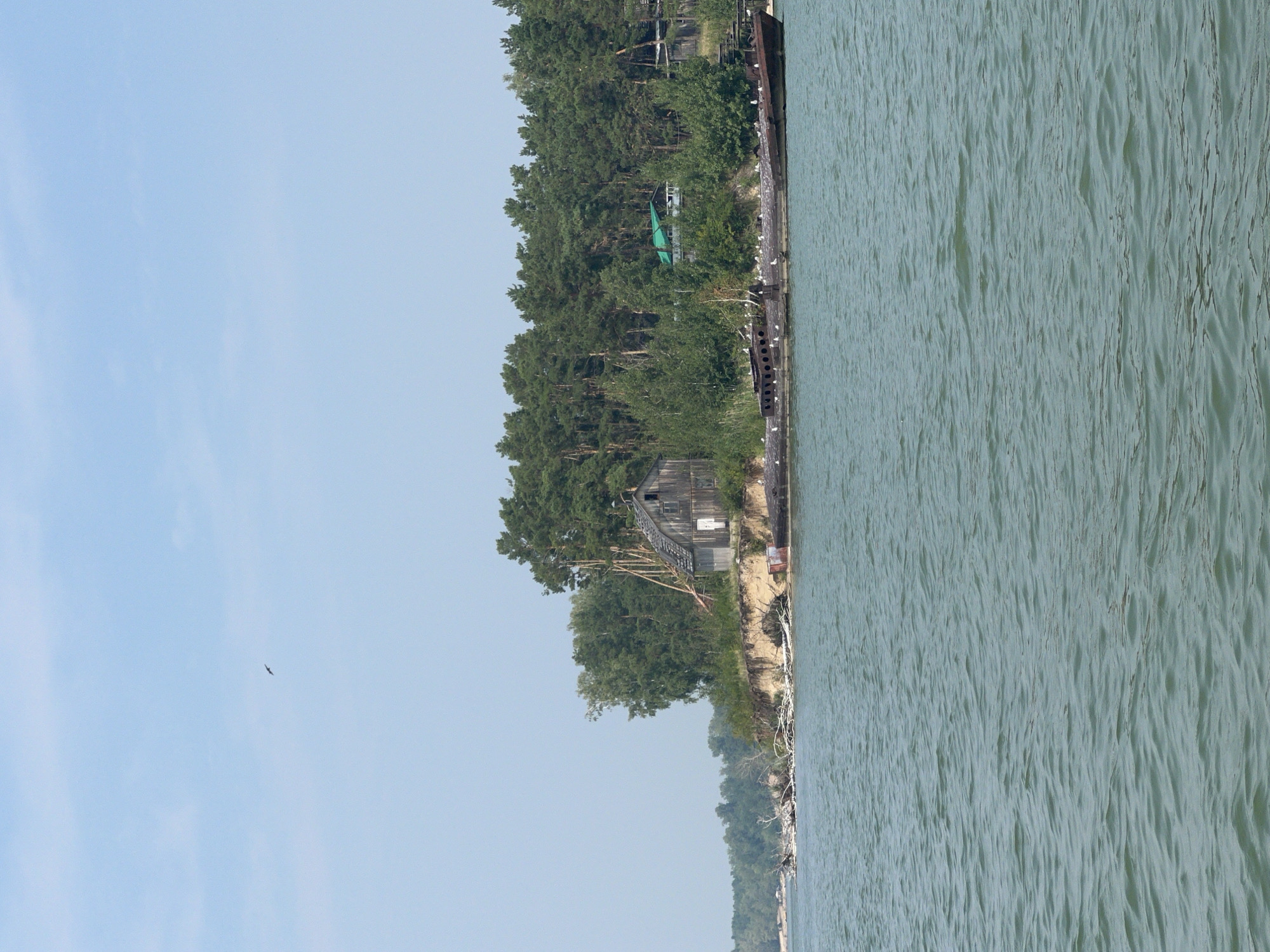 In the city of Borovoe, Russia, this image captures a serene natural landscape. The scene is dominated by a body of water in the foreground, with gentle ripples suggesting a calm day. On the bank, a weathered wooden house stands on a cliff overlooking the water, surrounded by lush green trees. To the right, a derelict barge, partially submerged and covered in seagulls, rests near the shore. The sky above is a clear, pale blue, with a solitary bird in flight. The overall impression is one of tranquility and a touch of rustic decay.