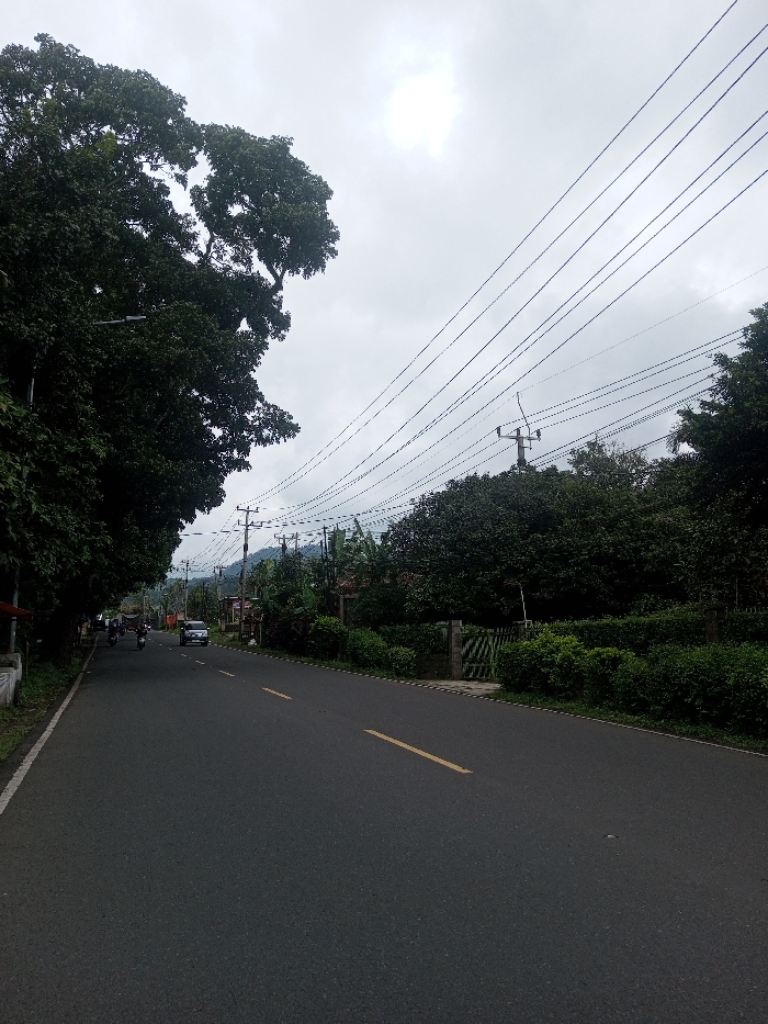 A straight asphalt road with a yellow dividing line runs between lush green trees and vegetation. Utility poles line the roadside, connecting overhead wires across the overcast sky. A white car and motorcycles are visible in the distance. The scene depicts a rural or suburban landscape with a paved road for transportation. Mountains are slightly visible in the distance.