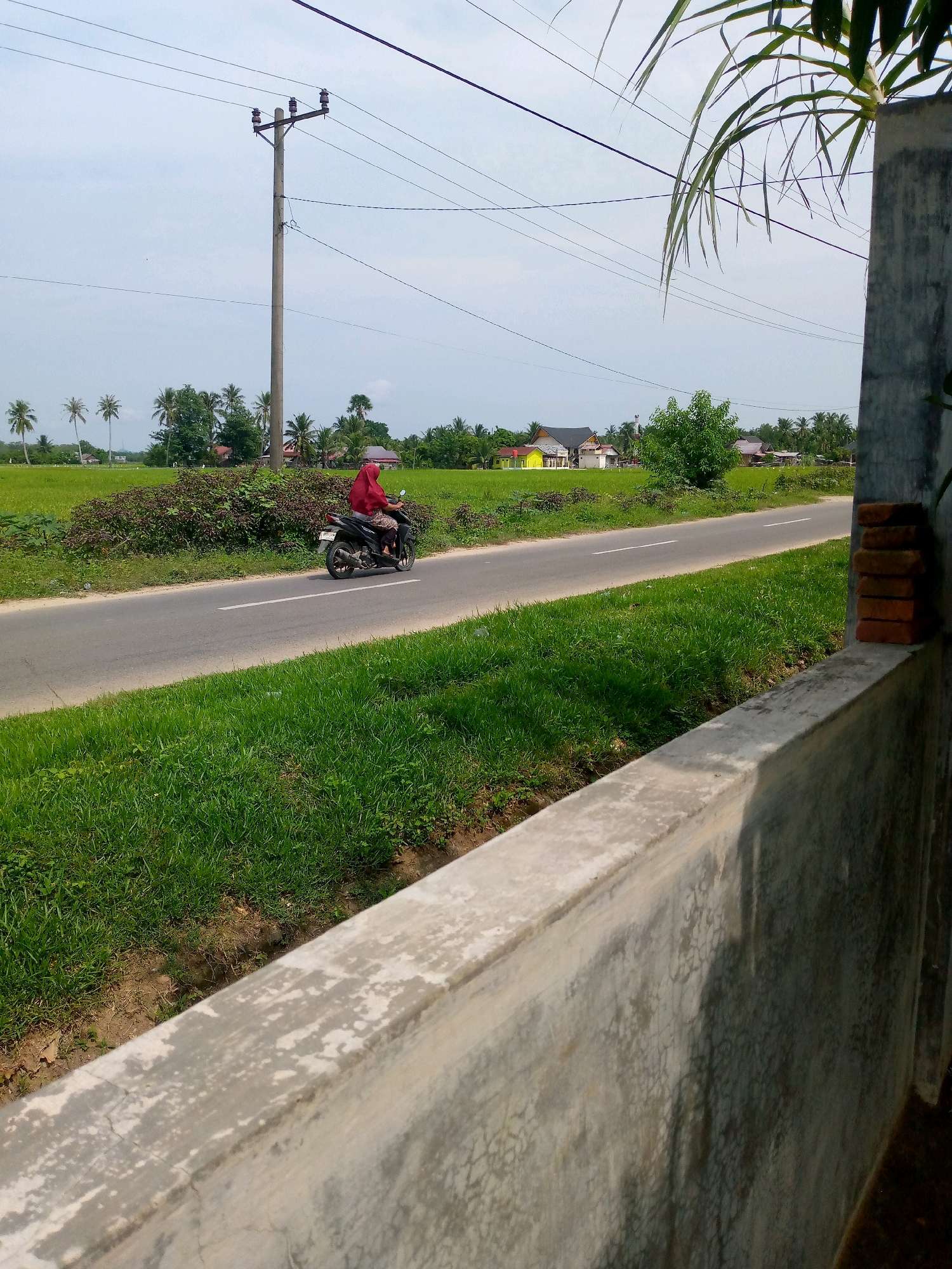 A woman wearing a red headscarf and a dark outfit rides a black motorcycle on a paved road. The road has a white dashed line in the center. To the left of the road is a vibrant green grassy field with some dark green bushes and scattered palm trees in the distance. Beyond the field, several houses with different colored roofs, including yellow and black, are visible. A tall utility pole with multiple wires stands in the background to the left of the road. In the foreground, a concrete wall runs diagonally across the image, with some bricks stacked on top of it on the right side. The sky is overcast and pale.