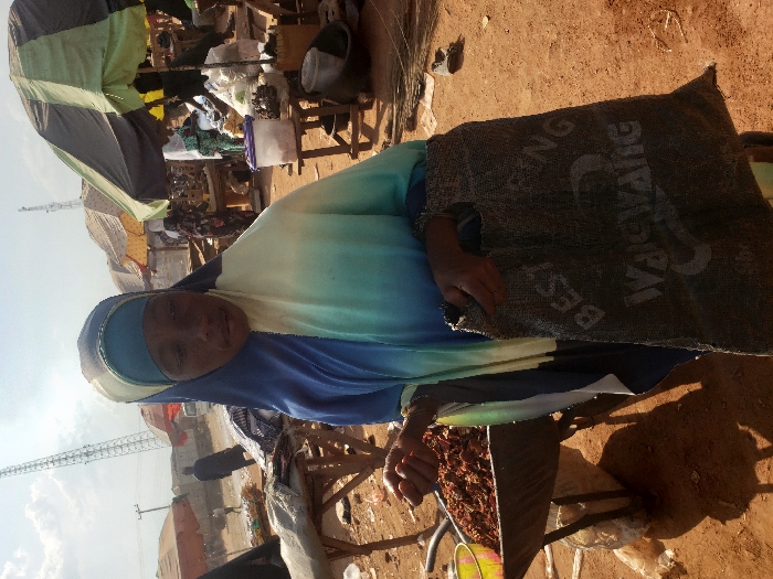 The image depicts an outdoor market scene in Adonkolo, Nigeria, under a partly cloudy sky. In the foreground, an adult female with dark skin, wearing a blue and light blue gradient hijab and matching top, stands with a neutral expression, looking slightly to her right. Her right hand holds several small reddish-brown objects. Her left hand grasps a dark, coarse fabric bag, partially obscured, with white text displaying "BEST FING KAIWANG". To her immediate left is a metal wheelbarrow filled with a large quantity of reddish-brown granular material, identical to the items in her hand, with a yellow plastic bucket resting on the wheelbarrow's edge. The ground is dry, reddish-brown earth with scattered debris. In the mid-ground and background, several market stalls are visible, sheltered by large umbrellas, including a green and white striped one and a solid brown one. These stalls feature various goods displayed on wooden structures. Multiple individuals are present in the background, including a person in a dark garment walking in the mid-distance. A tall, metal lattice transmission tower is prominent in the far background against the sky, along with utility poles.