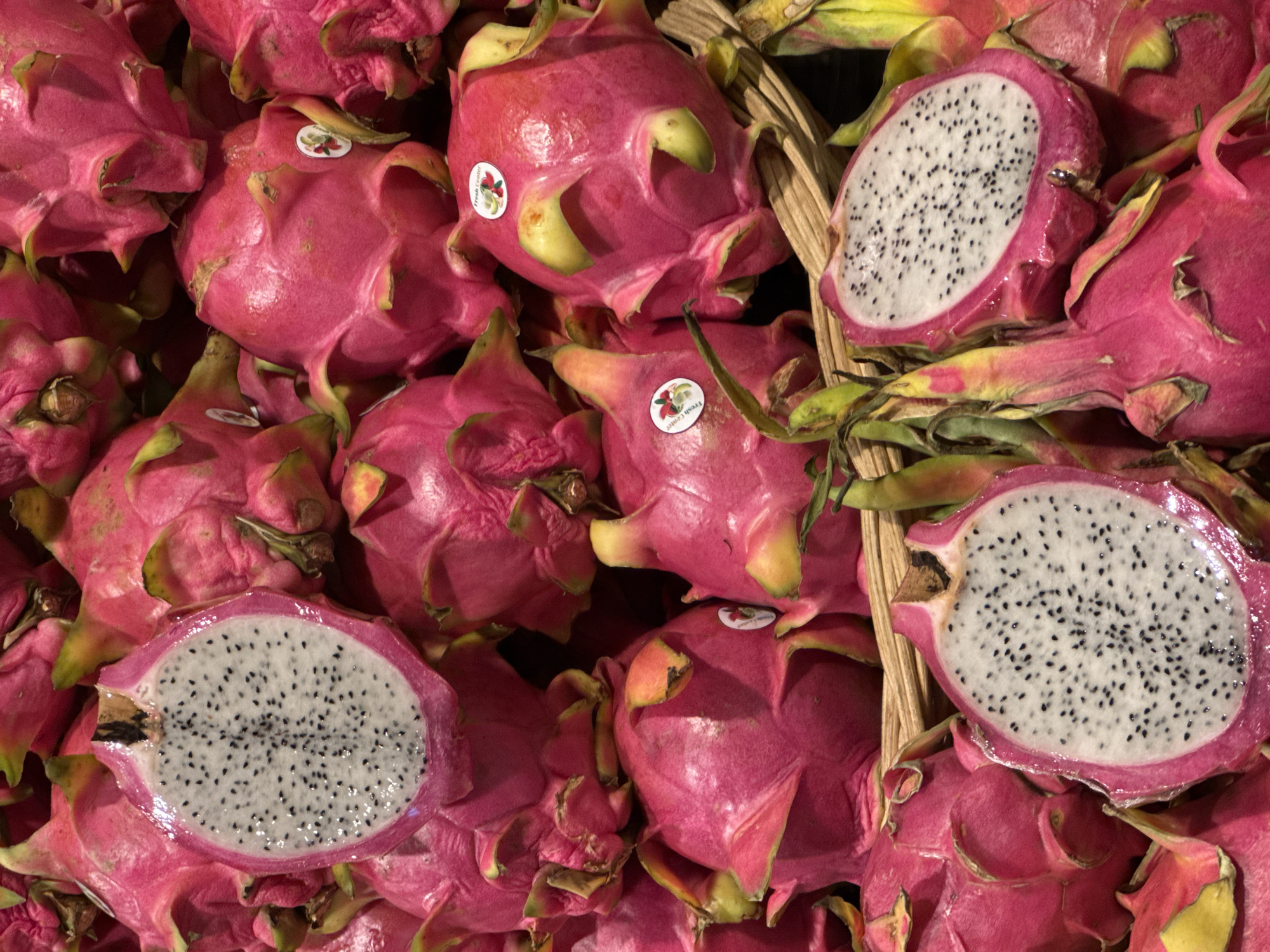 A close-up, overhead shot captures a vibrant display of dragon fruits, both whole and halved, piled within a rustic woven basket. The fruits exhibit their characteristic bright pink skin, some with greenish tips on their leathery scales, and some are sliced open to reveal their white flesh speckled with tiny black seeds. The lighting highlights the glossy sheen of the fruit skins. The image appears to be taken in a market setting, potentially at the Warorot Market (Kad Luang) in Chiang Mai City Municipality, Thailand, known for its abundant fresh produce. No people are visible in the frame.