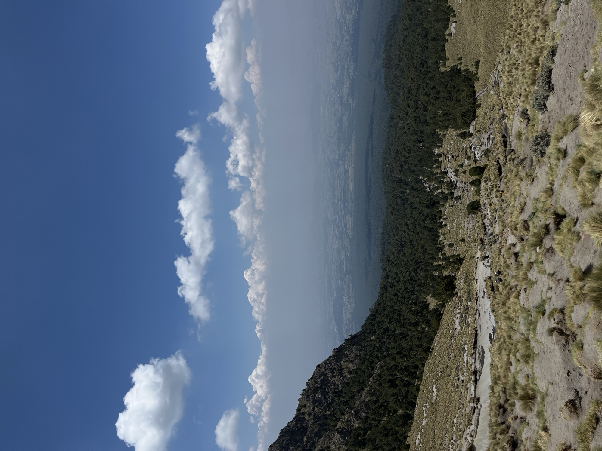 An upward-angled outdoor shot depicts a landscape with a vibrant blue sky dotted with puffy white clouds on the left. The horizon line is obscured by a hazy, greyish-white layer. A steep hillside covered in dark green vegetation rises from the bottom, transitioning into lighter, tan-colored grassy terrain higher up. The environment appears natural, likely a mountainous region. There are no people visible. Based on the instructions given, this image is in Guadaloupe, Mexico.