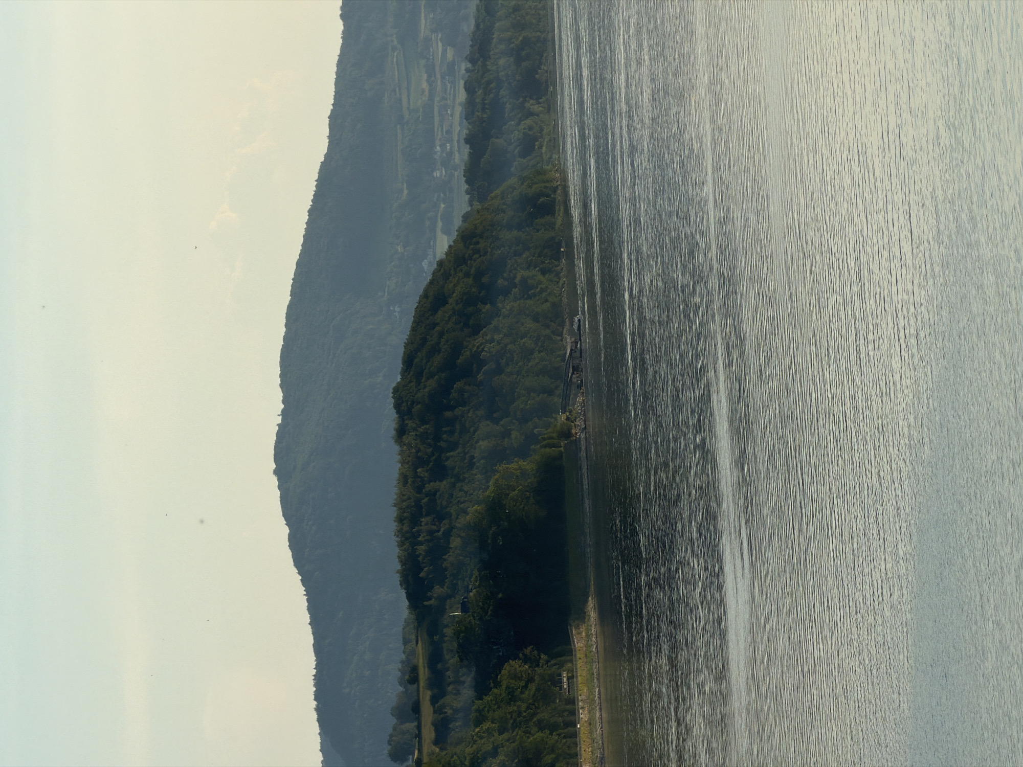 A serene, wide shot captures a tranquil body of water in the foreground, reflecting the soft, pale sky above with subtle ripples on its surface. Beyond the water, a densely forested hill slopes upwards, its trees a deep green against the muted backdrop. In the distance, layers of hazy blue hills rise, suggesting a vast, undulating landscape. The scene is devoid of people or any obvious human activity, emphasizing the natural beauty of the location, possibly a reservoir or lake near Lipie, Poland, known for its picturesque surroundings and natural reserves. The light suggests it is either early morning or late afternoon, casting a gentle glow over the entire scene.