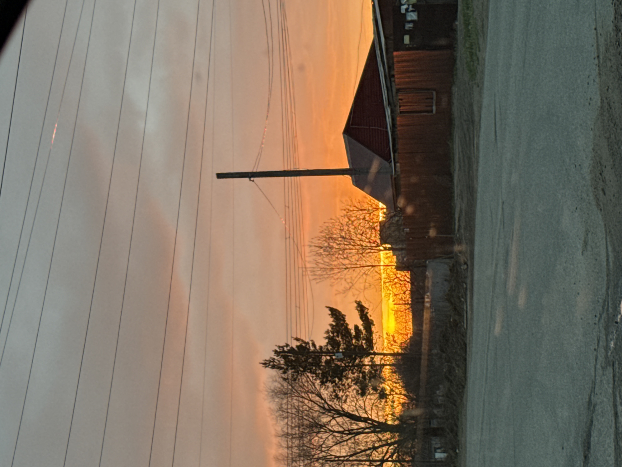 The image depicts a rural or semi-rural landscape bathed in the warm, dramatic light of either sunrise or sunset, set in Chaikovsky, Russia. The sky dominates the upper portion of the frame, transitioning from a light grey-orange at the top to a brilliant, fiery orange and yellow closer to the horizon, where the sun's intense glow is concentrated.
Numerous power lines stretch across the upper and middle sections of the sky, appearing as dark, thin lines. Some of these lines reflect the bright sunlight, showing small, sparkling highlights. A dark utility pole stands prominently towards the center-right, reaching up towards the power lines.
To the right, a building with a dark red gable roof and wooden siding is partially silhouetted against the bright sky. Its wooden walls appear to be made of vertical planks. The ground immediately to the right and in the foreground consists of a paved road, next to what appears to be a darker dirt or gravel shoulder.
Several deciduous trees, with their intricate, bare branches, are silhouetted against the glowing sky in the mid-ground and foreground, particularly on the left and center. One tree on the left has denser foliage, possibly an evergreen, while others are clearly leafless. Small bright spots, likely lens flares or reflections from the camera lens, are scattered across the scene, notably on the road and in the brighter parts of the sky. No human figures or discernible text are visible in the image, and no specific activity is taking place beyond the natural progression of day or night.