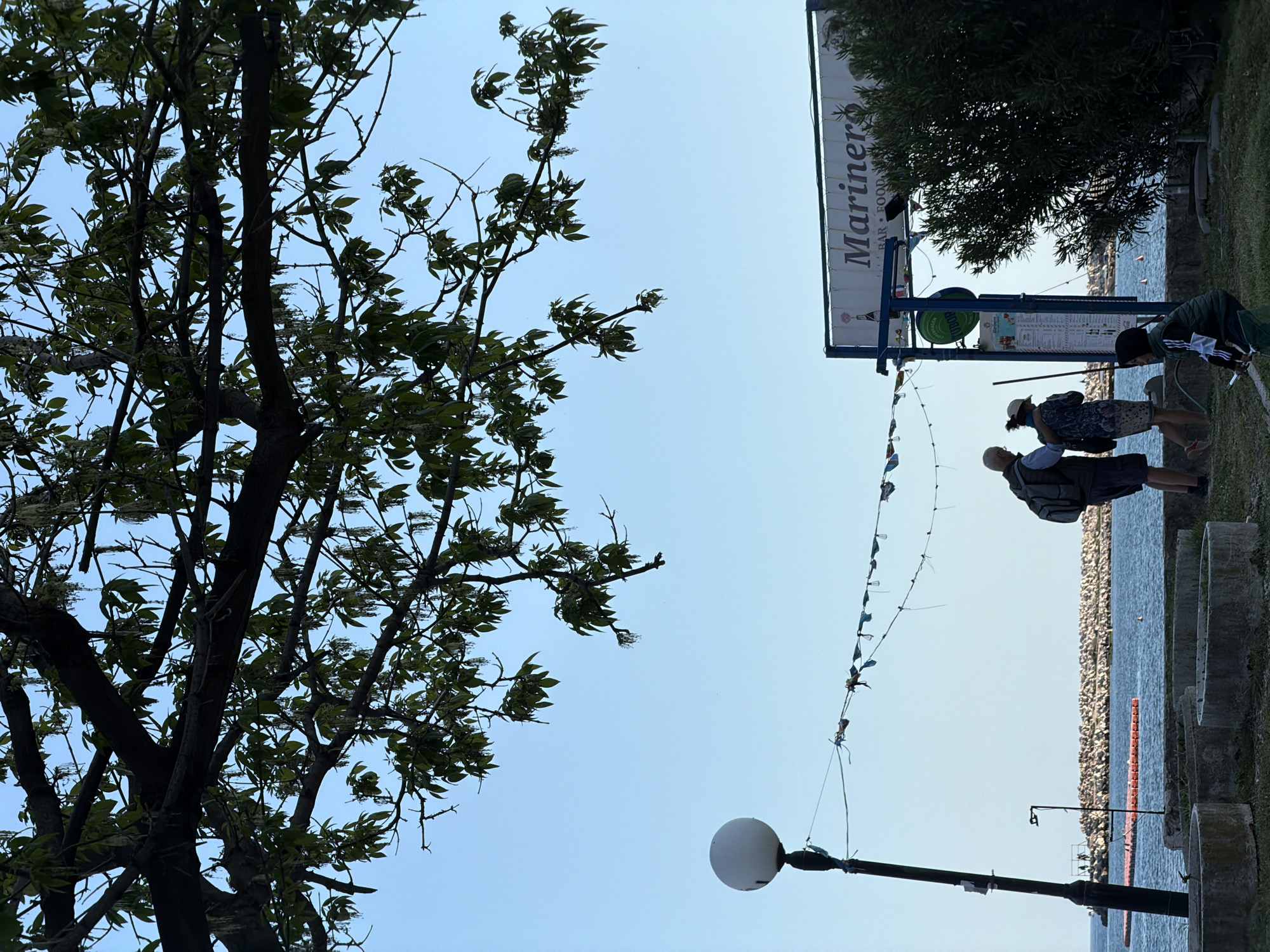 The image captures a scene in Budva, Montenegro, featuring a tree with dense foliage to the left, contrasting against a clear, light blue sky. In the background, there's a view of the sea with a rocky shoreline. A sign reading "Mariner's BAR FOOD" is partially visible on the right, along with a lamppost extending from the bottom of the frame. Several people, including an adult male, a middle aged woman and a youth, are standing nearby. There are banners connected between lampposts on the right. A light colored rock is partially visible by the sea.