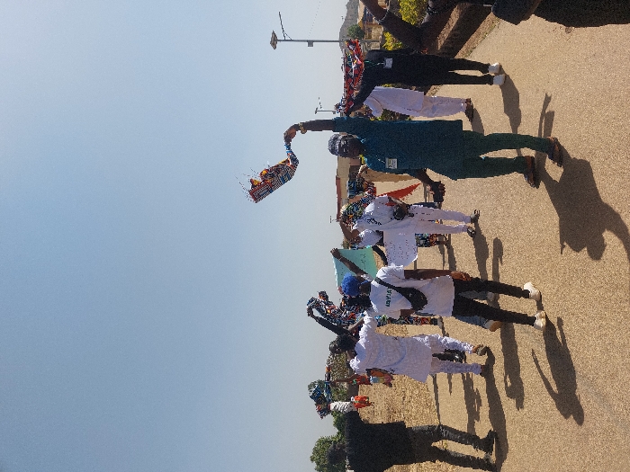 The image displays an outdoor daytime scene in Bar Gada, Nigeria, featuring approximately ten individuals on a paved road under a clear blue sky. Strong sunlight generates distinct, elongated shadows on the ground. The individuals, primarily male adults, are dressed in a mix of traditional white tunics (agbadas) and contemporary attire. Most are actively holding colorful, patterned fabric banners or flags aloft with their hands. In the foreground, center-right, a man wearing a dark teal tunic, matching pants, and brown sandals faces partially towards the camera, holding a banner overhead with his right hand; a nametag is affixed to his left chest. Behind him, another individual in a white t-shirt with "ABYIA" visible, dark pants, white sneakers, and a blue cap is seen from the back. To the far right, a solar-powered street light pole stands. The background consists of dry, lighter-colored terrain, sparse distant vegetation, and indistinct building structures beneath a hazy distant horizon line.