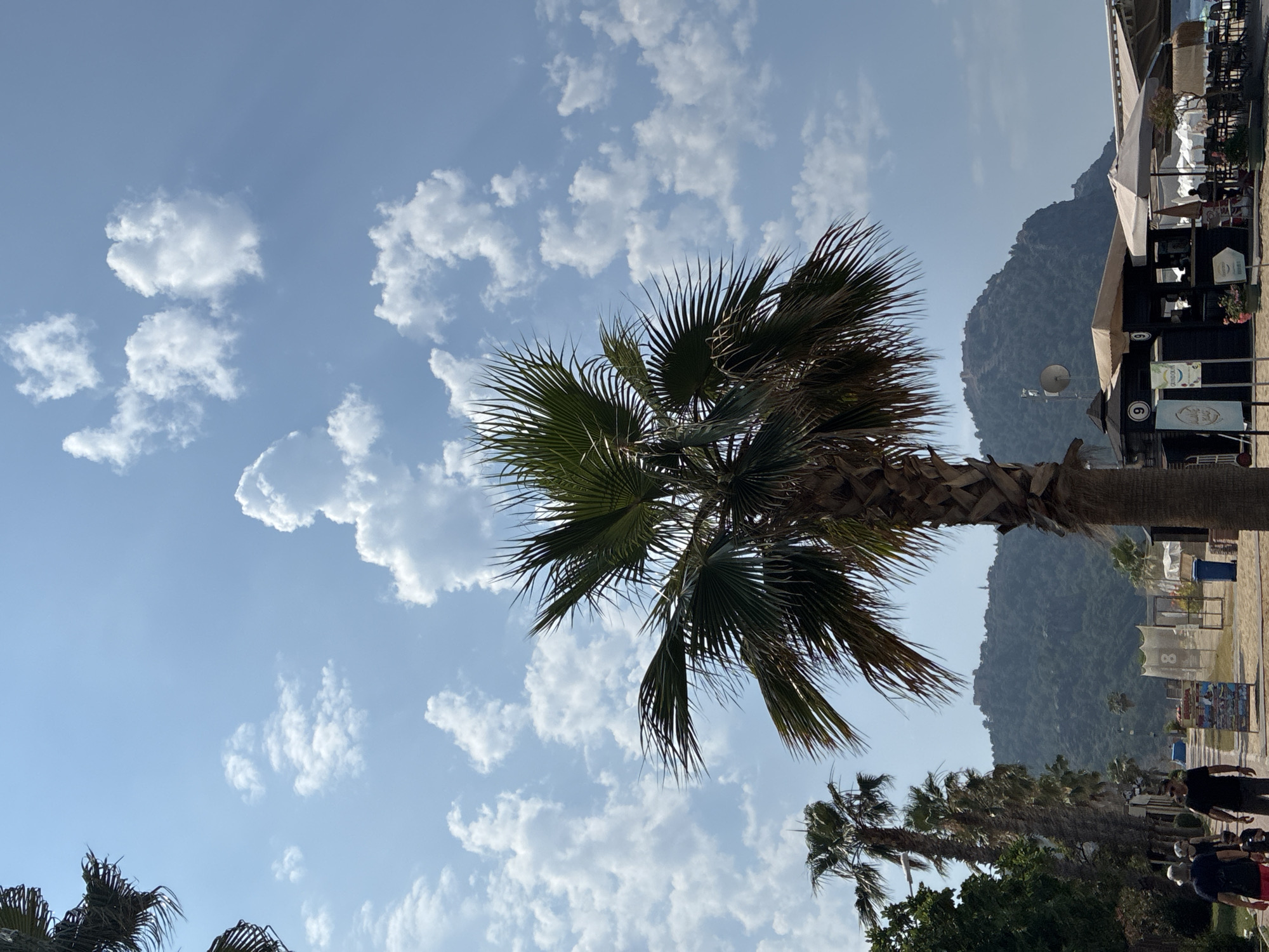 In Alanya, Turkey, a mature palm tree stands tall in the foreground against a bright blue sky dotted with fluffy white clouds. To the left, a line of shorter palm trees and lush green foliage lines a sandy walkway. Several people are visible on the walkway, including two men in the foreground and a small child. Behind them, a low-rise building with awnings and tables suggests an outdoor cafe or restaurant. In the distance, a majestic mountain range rises, topped by ancient ruins, providing a dramatic backdrop to the coastal scene. The atmosphere is bright and sunny, typical of a Mediterranean summer day.