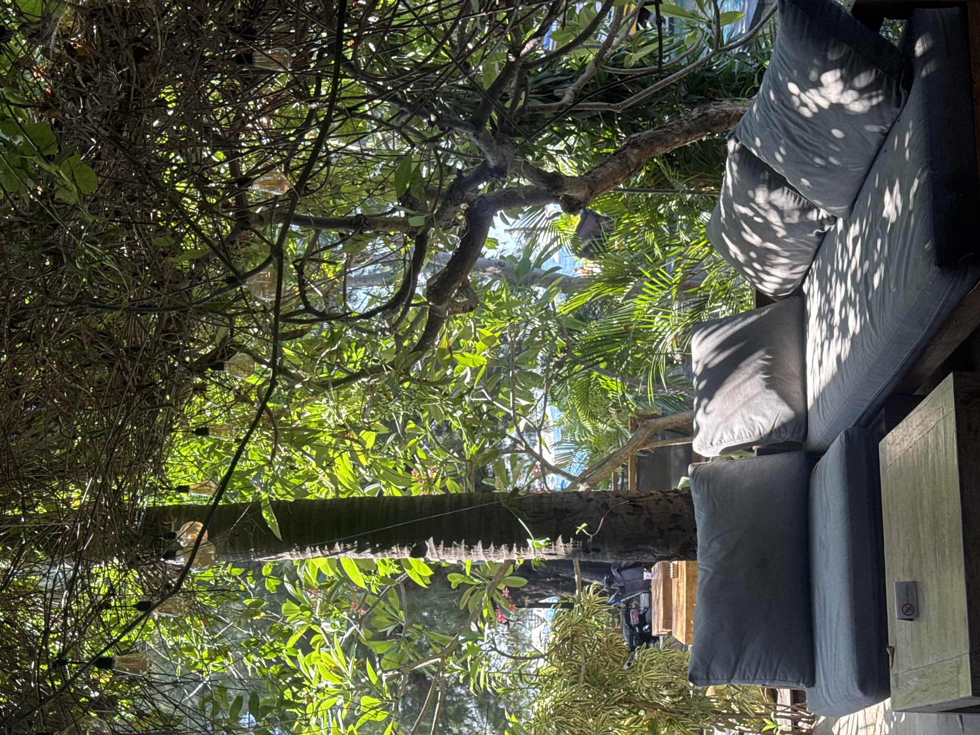 The image shows an outdoor seating area with a large sectional sofa and a wooden coffee table, bathed in dappled sunlight filtering through lush green foliage and vines overhead. String lights are visible hanging from the branches. The sofa is covered in grey cushions. A small sign with a no-smoking symbol is placed on the coffee table. In the background, there is a palm tree and more greenery, with hints of blue water suggesting a coastal or poolside location. The overall impression is one of a tranquil, shaded outdoor lounge. The location is identified as Unknown, Indonesia. There are no people visible in the image.