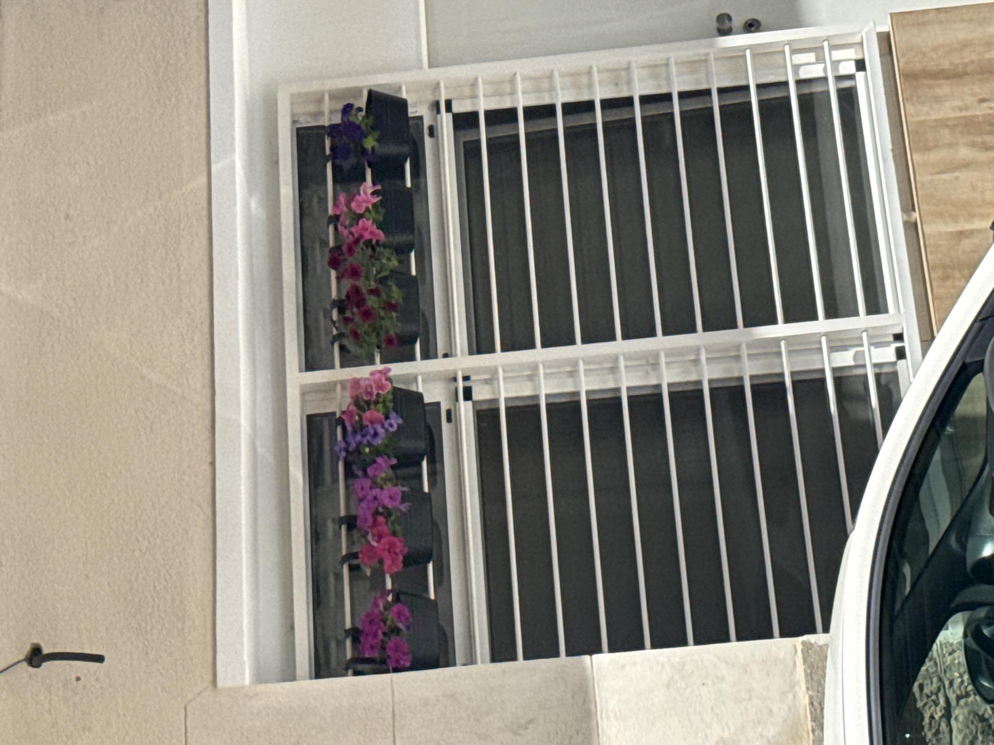 The image displays a close-up view of a building's exterior, focusing on a window or balcony area. A prominent white metal security grille, composed of vertical and horizontal bars, covers two distinct window sections. To the left of this grille, a vertical planter system, crafted from a dark material, is affixed. This planter is filled with a vibrant array of flowers in various shades of pink, purple, and magenta, arranged in multiple tiers.
The building's wall to the far left features a light beige, textured stucco finish, with a small, dark, handle-like fixture protruding from it. A white frame borders the entire window and grille structure. Above the upper right corner of the grille, two small, dark, circular objects are visible, possibly functioning as security cameras or outdoor lights. The windows behind the grille appear dark, suggesting tinting, drawn blinds, or reflective glass. On the far right, a portion of a white car, including its side door and window, is visible, indicating its proximity to the building.
There are no people present, and no specific activities are taking place. The scene suggests an urban or residential setting. The lighting is diffused, indicating either an overcast day or an interior shot with backlighting, though the exterior context points to the former. No discernible text is visible in the image.