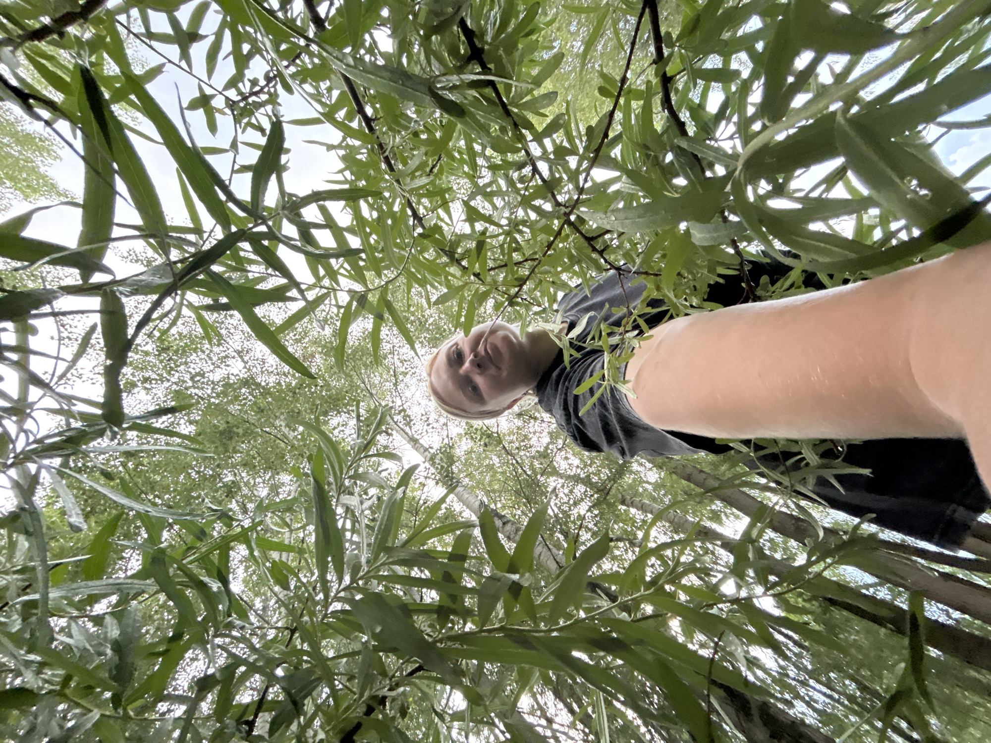 A low-angle, wide shot captures a person from the chest up, with their arm extended towards the camera, blurring the foreground. The person, appearing to be a young adult with blonde hair, wears a dark t-shirt and is situated amongst dense green foliage. The leaves are wet, suggesting recent rain or dew. The background consists of more trees, possibly birch trees given the white bark visible in the mid-ground, and a cloudy sky. The scene appears to be outdoors in a natural setting, potentially a park or wooded area within Chaikovsky, Russia.