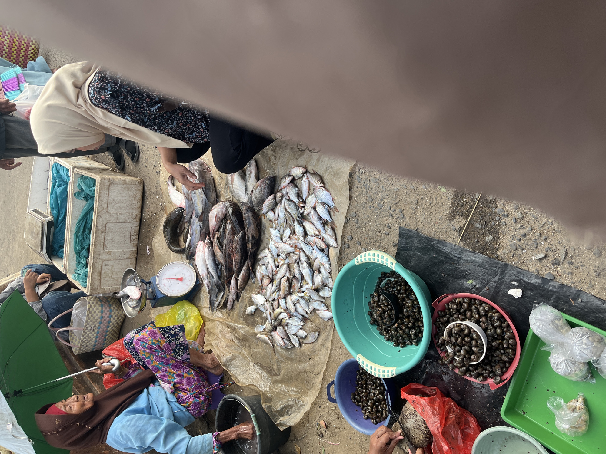 In Kemuning, Indonesia, two women are at a fish market. The woman on the left, wearing a brown headscarf and blue shirt, is sitting under a green umbrella and holding a silver fish on a scale. She is wearing a colorful patterned skirt. In front of her, a black bucket with water sits next to a yellow plastic bag. To her right are piles of fish on a brown tarp, including some in a silver bowl on a scale. A second woman, wearing a light beige headscarf and a dark floral shirt, is kneeling to the right, facing away from the camera. In front of her, to the left, are two large plastic basins, one blue and one teal, filled with small dark snails. A red plastic bag, also filled with snails, is next to the blue basin. A green plastic tray with several plastic bags of small items is in the foreground. The market appears to be outdoors on a paved surface with some gravel.