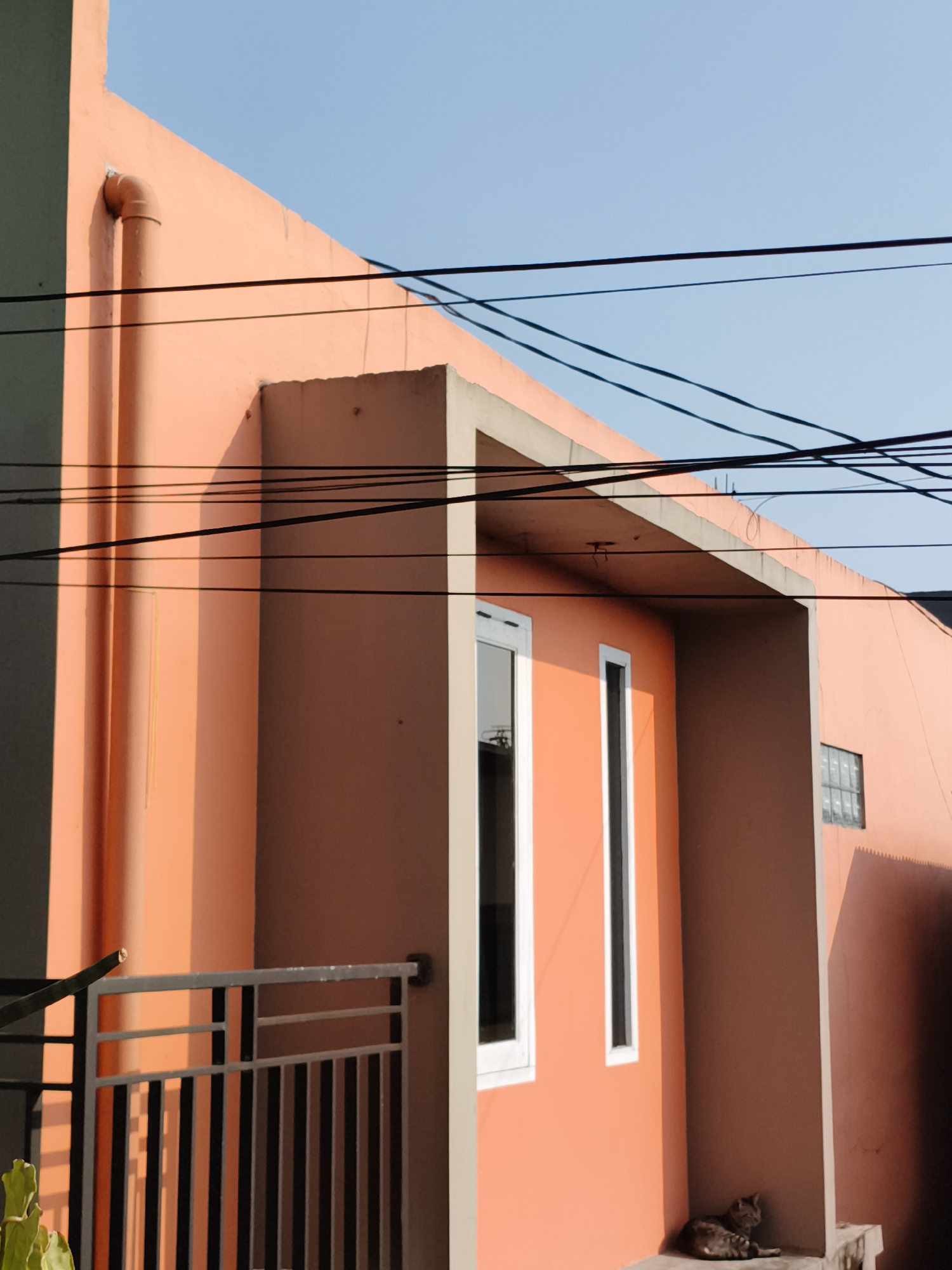 A salmon-colored building stands under a clear blue sky in Pacet, Indonesia. The building has a drainpipe running down the corner and a covered entryway with two narrow windows. A gray cat is resting on the ground in the shadow of the entryway. Power lines run across the sky above the building. A section of metal railing is visible in the foreground.