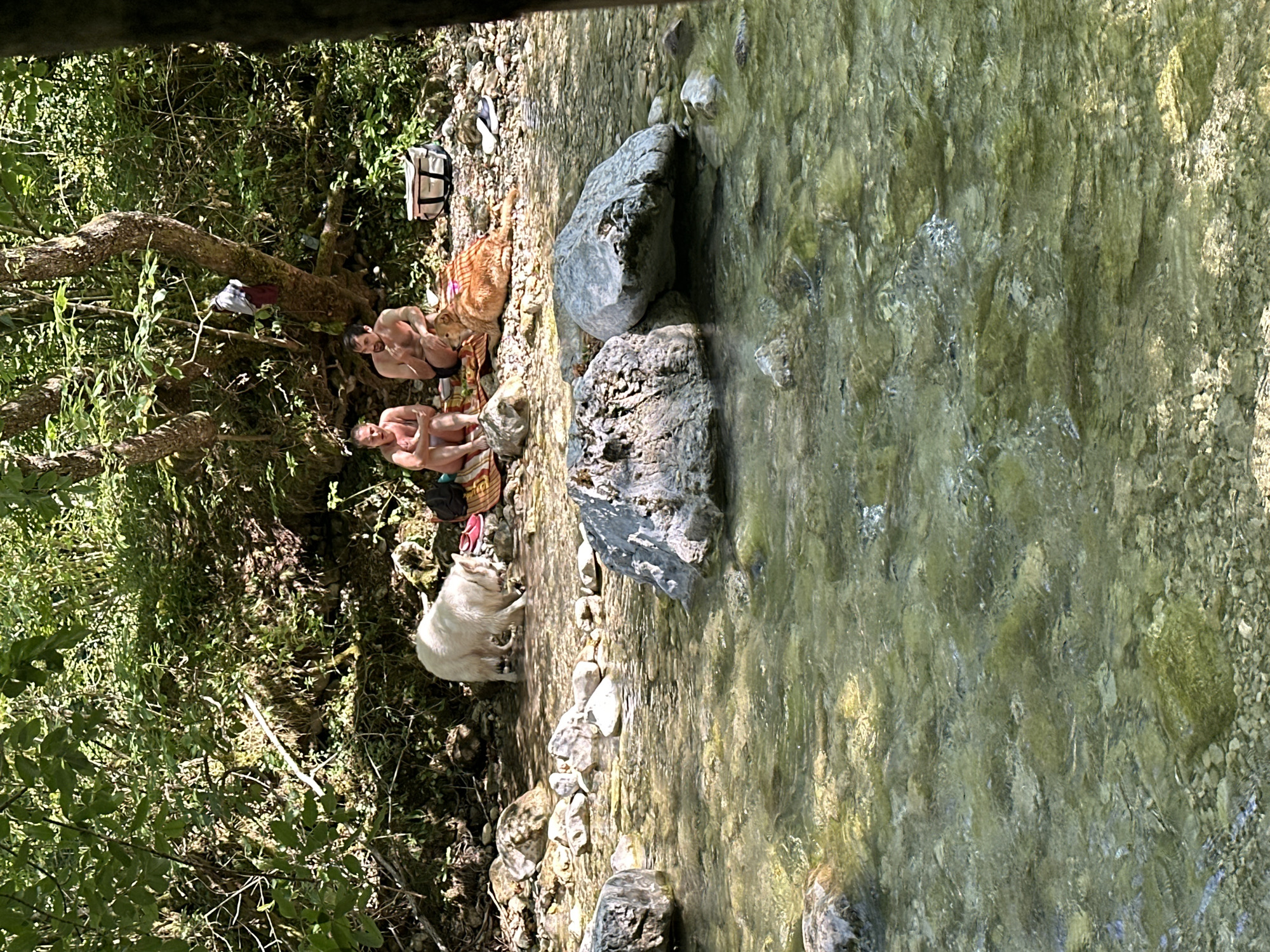 Two individuals, one male and one female, are seated on blankets near the edge of a shallow, clear river in a wooded area. A white dog stands in the water, and a ginger-colored dog lies on a blanket. A cooler and some clothing are visible near the people. The setting appears to be a natural, outdoor recreational area. The location is identified as Iška, Slovenia.