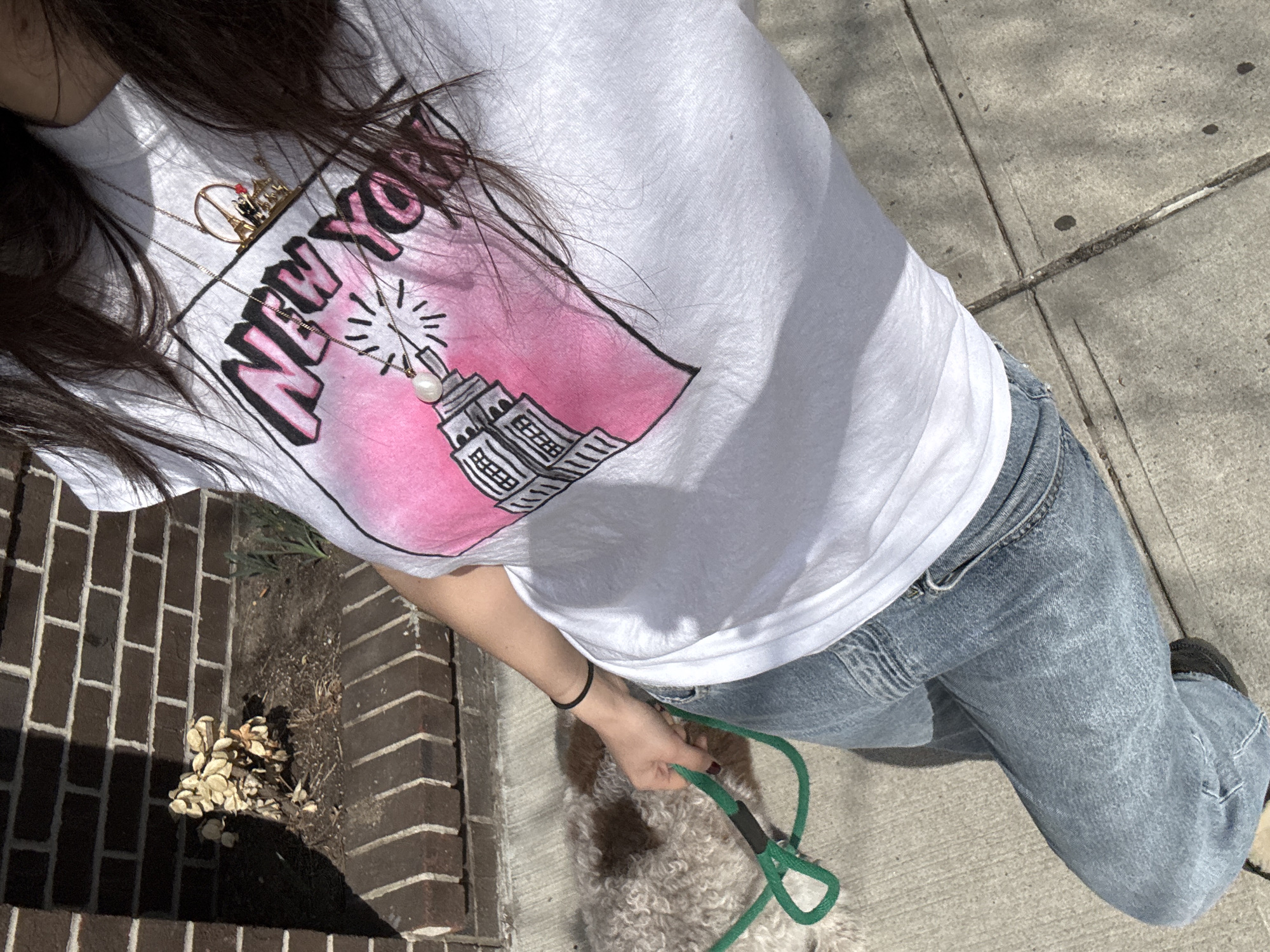 A person wearing a white t-shirt with a pink and black graphic of the Empire State Building and the words "New York" is walking a dog on a green leash. The person is also wearing light blue jeans. The location appears to be outdoors, likely on a sidewalk. There is a brick wall in the lower left corner of the frame.