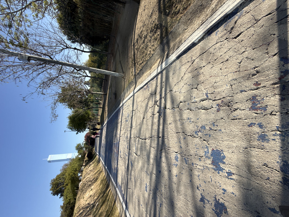 A wide-angle, low-angle photograph depicts a worn concrete pedestrian and cycling path in Puebla City, Mexico, under a clear blue sky. The path, characterized by extensive cracking and patches of faded blue paint, extends into the distance, bordered by white lines and a narrow curb on the right.
In the background, a distinctive light-blue, cylindrical skyscraper, identified as Torre Natyvo, stands prominently against the skyline to the left. To the left of the path, a grassy embankment slopes upward, densely covered with trees and shrubs. To the right, a flatter grassy area is lined with numerous deciduous trees, some appearing bare, and a leaning metal utility pole with an attached box.
Four individuals are visible walking away from the camera on the path in the mid-ground. Two are closer to the left side, one appearing smaller, possibly a child. The other two are further back; one is accompanied by a small, dark-colored dog on a leash. Another figure or dog is faintly visible further down the path on the right side. Long shadows from unseen objects fall across the path from the left. The scene indicates an outdoor recreational area during daylight hours.