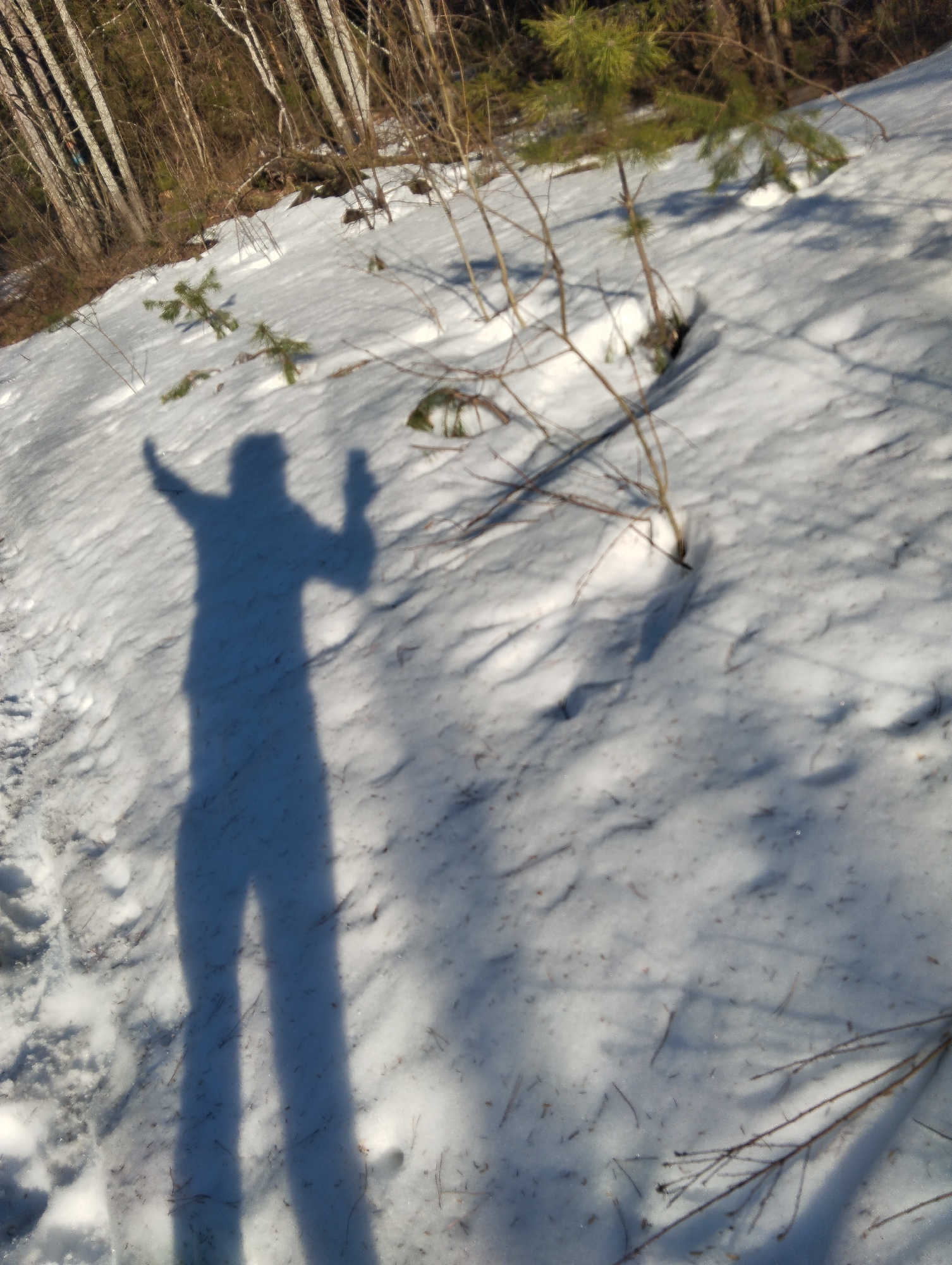 The image depicts a snow-covered landscape in Votkinsk, Russia. The setting appears to be a wooded area, evident by the presence of trees in the background and small evergreen saplings scattered across the snow. A distinct human shadow stretches across the snow. The shadow suggests an individual standing and gesturing with raised arms. The surface of the snow is uneven, marked by footprints and shadows.