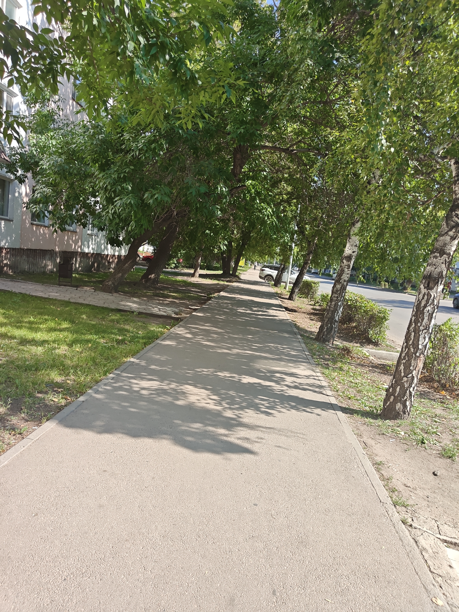 The image shows a paved walkway lined with trees and green grass, adjacent to a building and a road. In the foreground, the walkway stretches into the distance, casting shadows from the trees overhead. To the left, a building with windows and light-colored walls is visible. Beyond the walkway, on the right side of the image, a road is present with a few cars. The trees are leafy and appear healthy, with some featuring distinctive bark patterns. The overall scene suggests a sunny day in an urban or suburban environment within Petropavl, Kazakhstan. There are no people visible in the image.