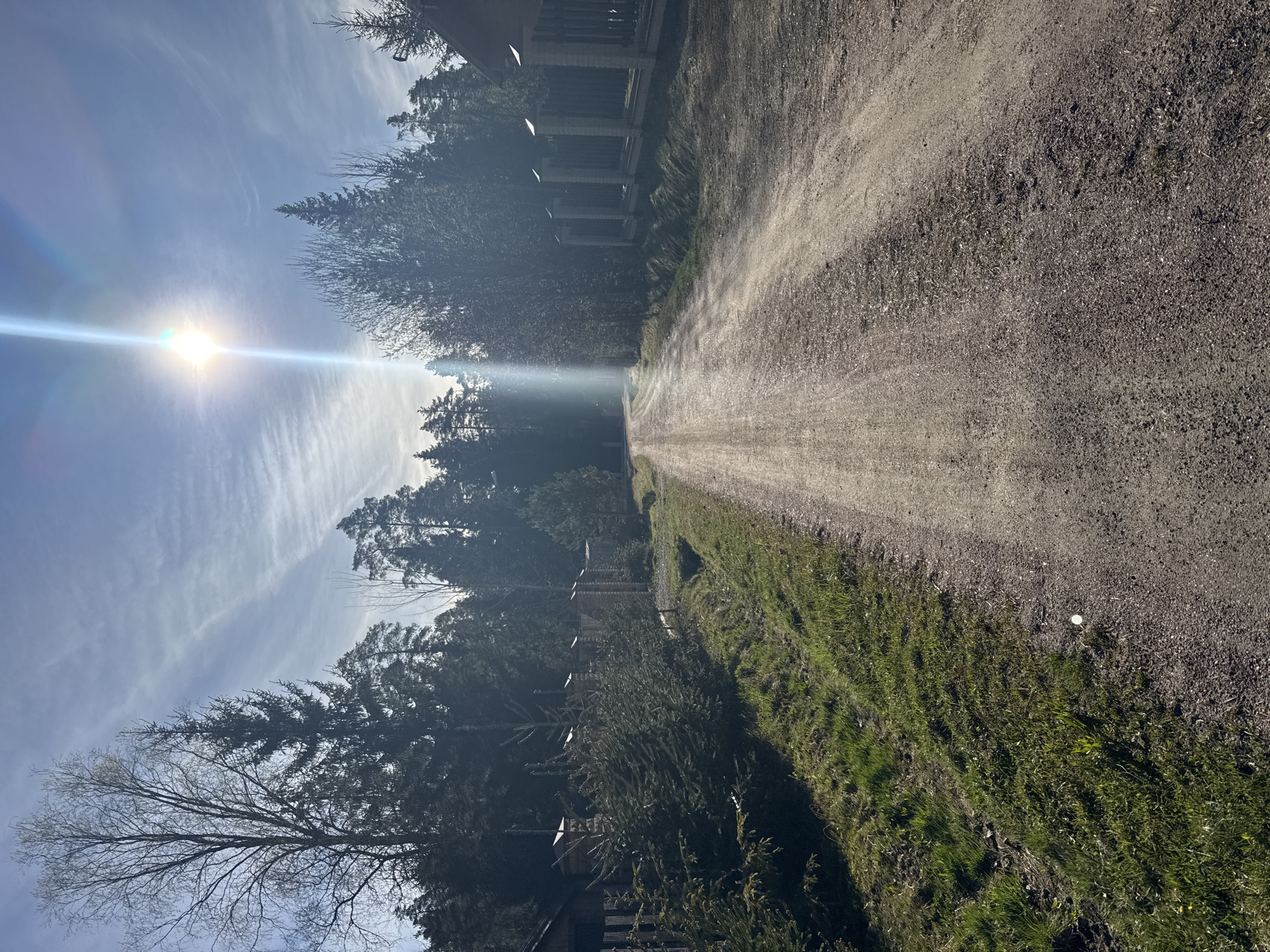 The image depicts a dirt road in a wooded area. Sunlight streams through the trees, creating a bright glare in the sky. The road stretches into the distance, flanked by trees on one side and grass on the other. A building with columns is partially visible on the side of the road.
Without additional context or identifying landmarks, it is not possible to confirm that the location is in Aleksandrovka, Russia.