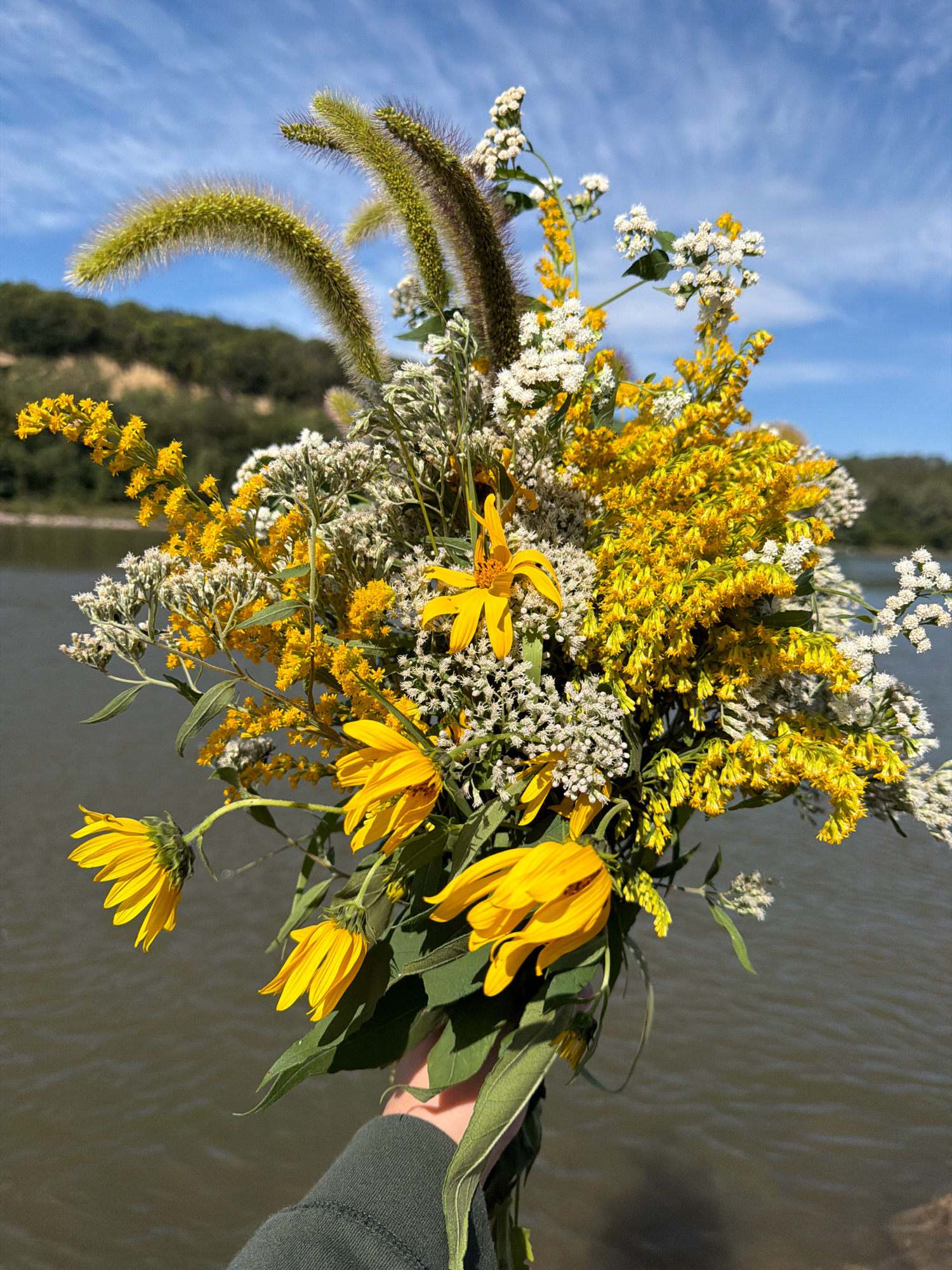 A hand holding a bouquet of wildflowers in front of a body of water and a wooded hillside under a blue sky with scattered clouds. The bouquet contains yellow sunflowers, goldenrod, and smaller white flowers, along with fuzzy green foxtails. The water appears calm with ripples, and the hillside is covered in green trees and vegetation. The sky is bright blue with wispy white clouds. The image is taken from a low angle, looking up at the bouquet and the scenery beyond.