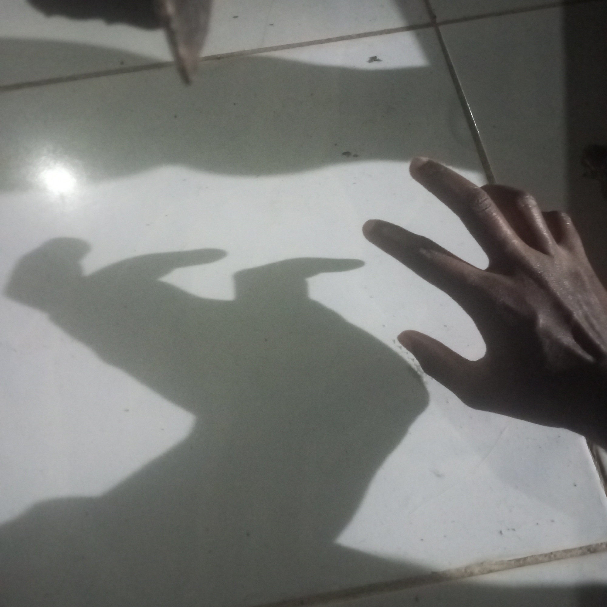 An image of a hand and its shadow cast on a tiled floor. The hand is dark-skinned and outstretched with fingers spread apart. The shadow is large and distorted, suggesting a nearby light source. The background is composed of white tiles.
There is no evidence to suggest the location in Mahiakalo ward, Kenya.