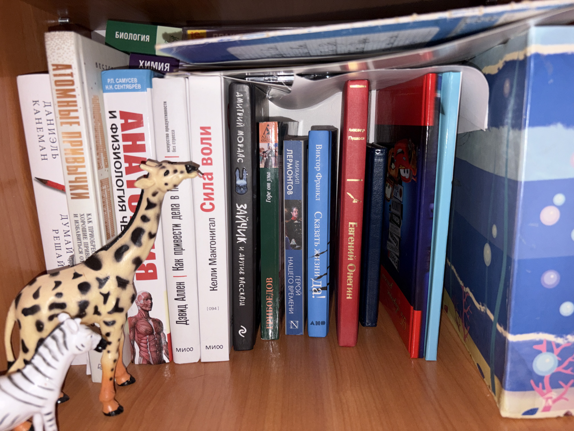 A shelf in a home library displays a collection of books and two animal figurines. The books are arranged in a row, varying in size, color, and cover design. Some books have prominent titles visible in Russian. To the left of the books, a tan giraffe figurine with black spots stands on an orangish-yellow base. Partially obscuring the giraffe from view is a white and black striped zebra figurine, also on an orangish-yellow base. The background is dark and suggests the interior of a room. The lighting is moderate, allowing for clear visibility of the objects on the shelf. The overall scene depicts a personal collection of reading material and decorative items on a bookshelf, with no specific connection to Chistopol, Russia.