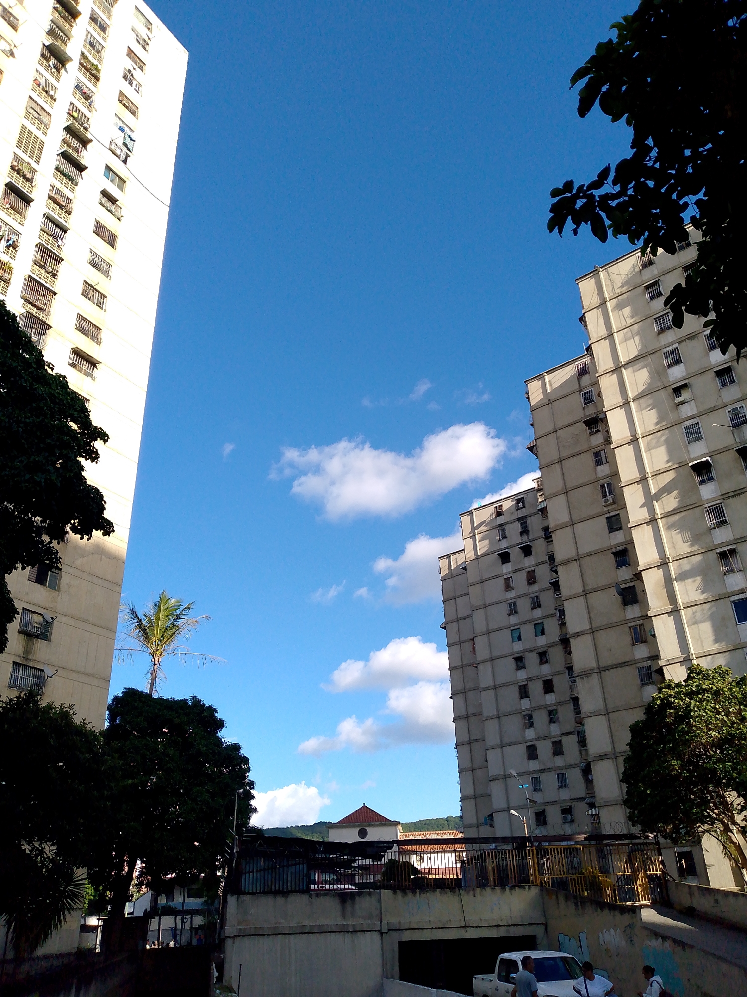 The image captures a view of a residential area in Caracas, Venezuela, likely the 23 de Enero sector, characterized by tall apartment buildings and lush greenery.
In the foreground, a white pickup truck is parked near a concrete underpass, with three individuals standing close to it. Two men are visible, one in a gray t-shirt and the other in a white t-shirt. A woman in a white top and dark pants is also present, holding a white bag. Graffiti adorns the concrete walls of the underpass.
Dominating the background are several high-rise apartment buildings. The building on the far left is a stark white, multi-story structure with numerous balconies. To its right, a series of beige apartment buildings are clustered together, their facades marked by rows of windows and balconies. A single palm tree stands between the white building and the beige ones. Further to the right, another large beige apartment building is visible. The sky above is a clear blue, punctuated by scattered white clouds.
The scene is set in a dense urban environment, with the apartment buildings suggesting a high population density typical of Caracas. The presence of trees indicates a balance between urban development and natural elements. The time of day appears to be daytime, with bright sunlight casting shadows, suggesting a clear weather.